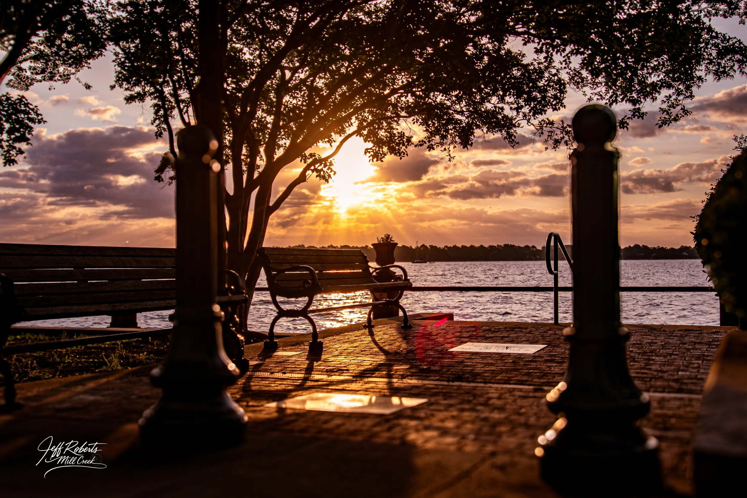 Sunset over a body of water seen from a park with benches and a tree, casting reflections on the water and creating a peaceful scene.