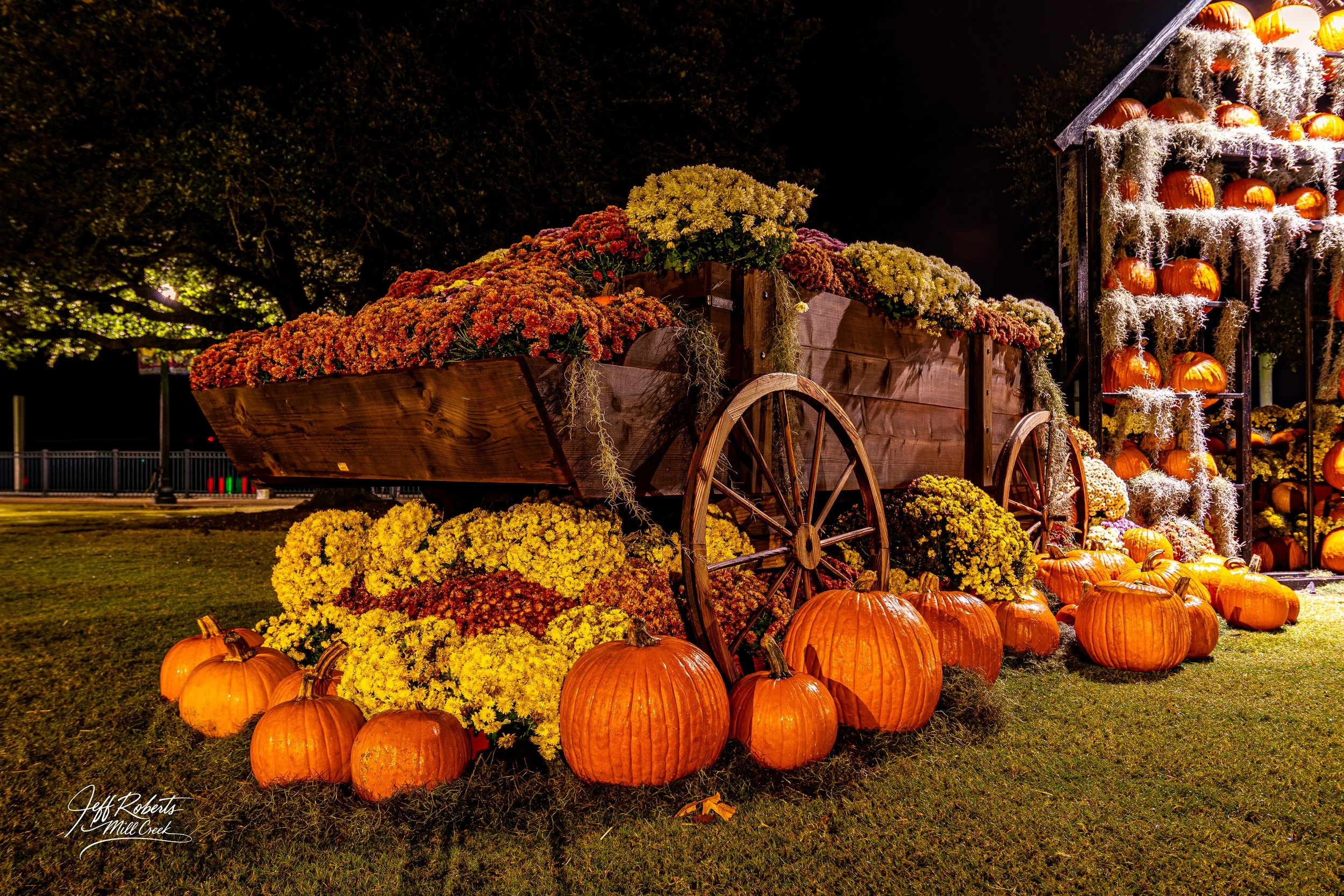 Nighttime outdoor autumn display with a wooden wagon filled with orange and yellow mums, surrounded by pumpkins and decorated with fall foliage and gourds.