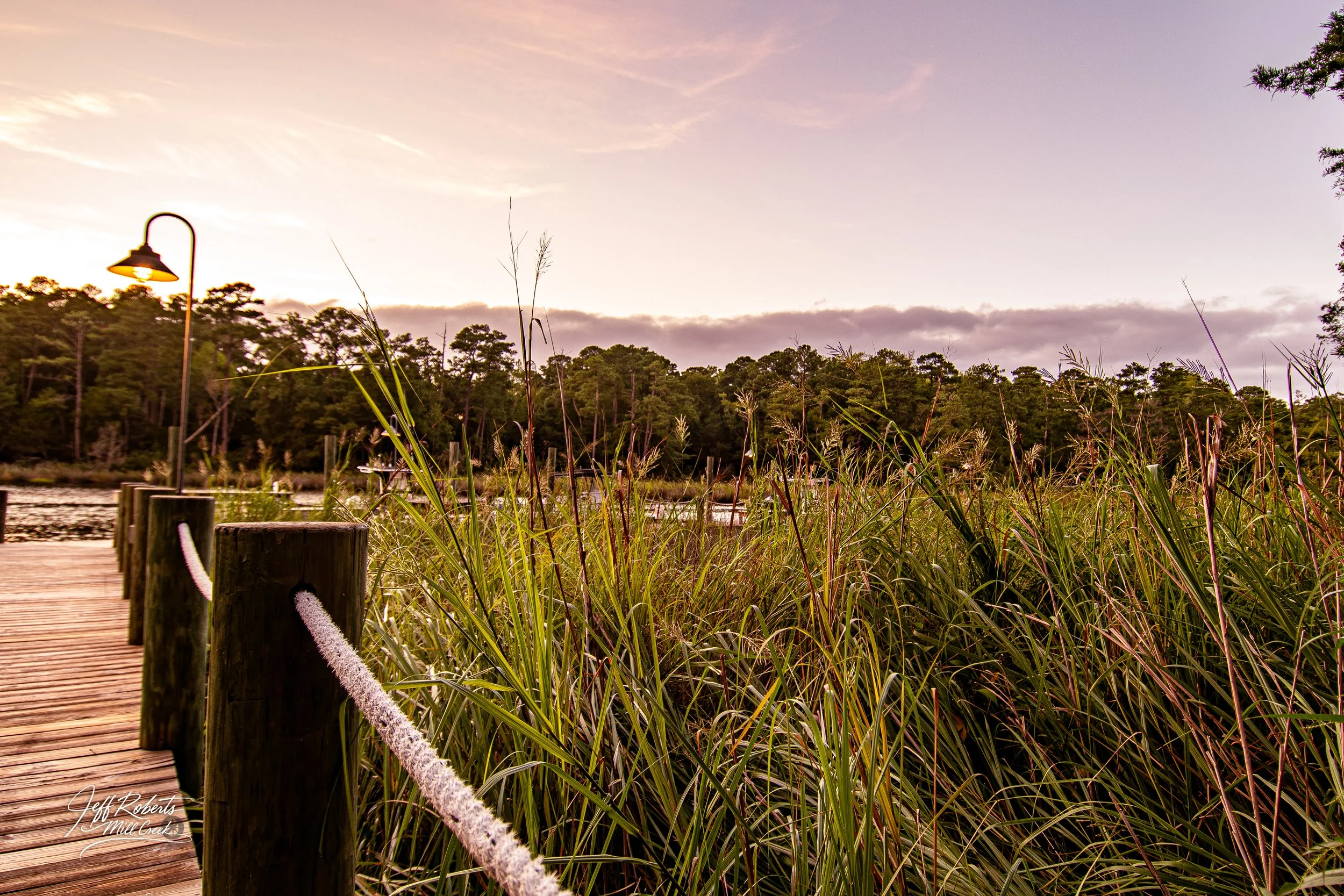 A wooden boardwalk beside tall grasses and a lamp post, with a sunset sky and trees in the background.