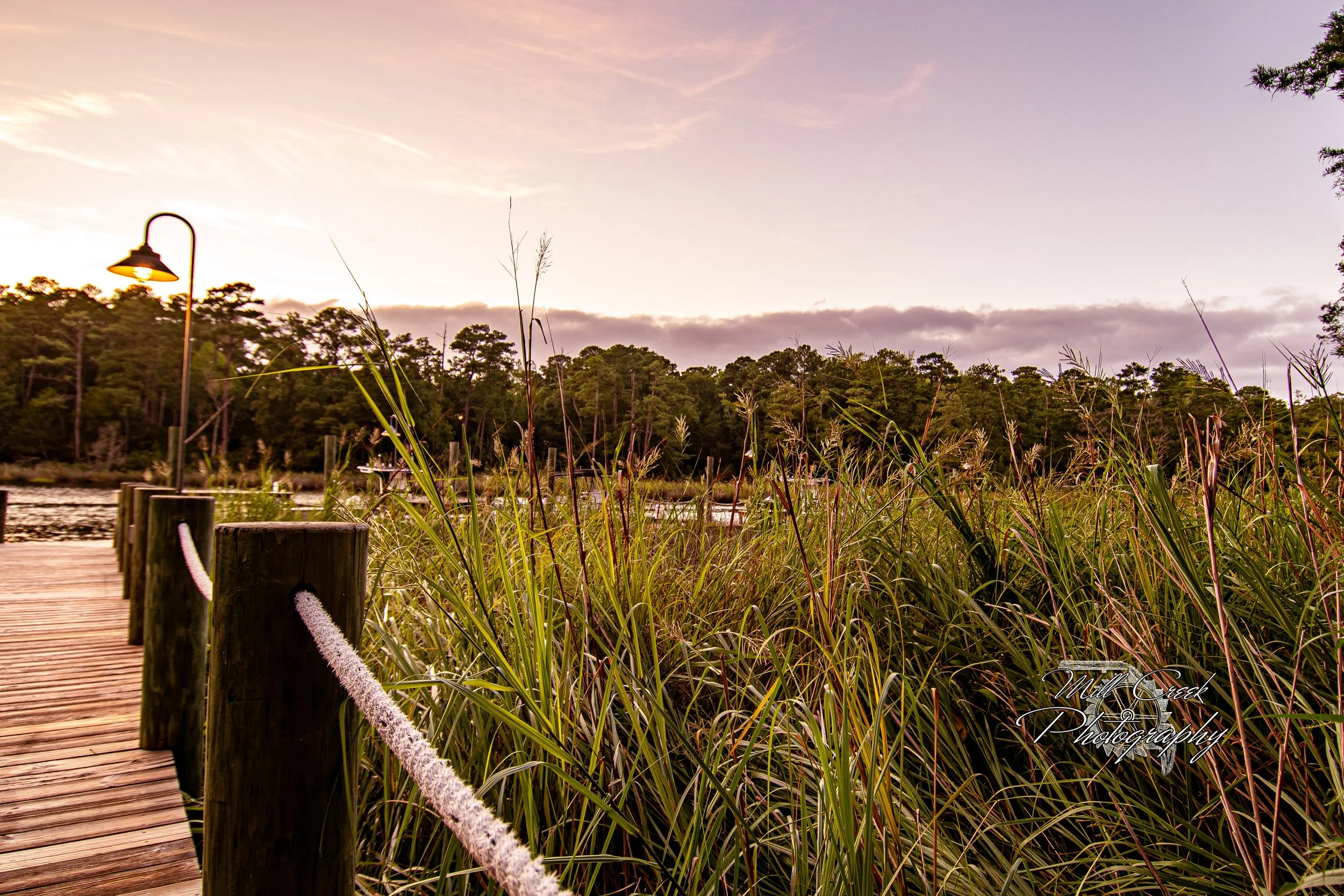 "Marsh Edge, Evenings Glow"
Rope railings and dew-bright reeds catch the last pink light beside the dock at the water’s edge.