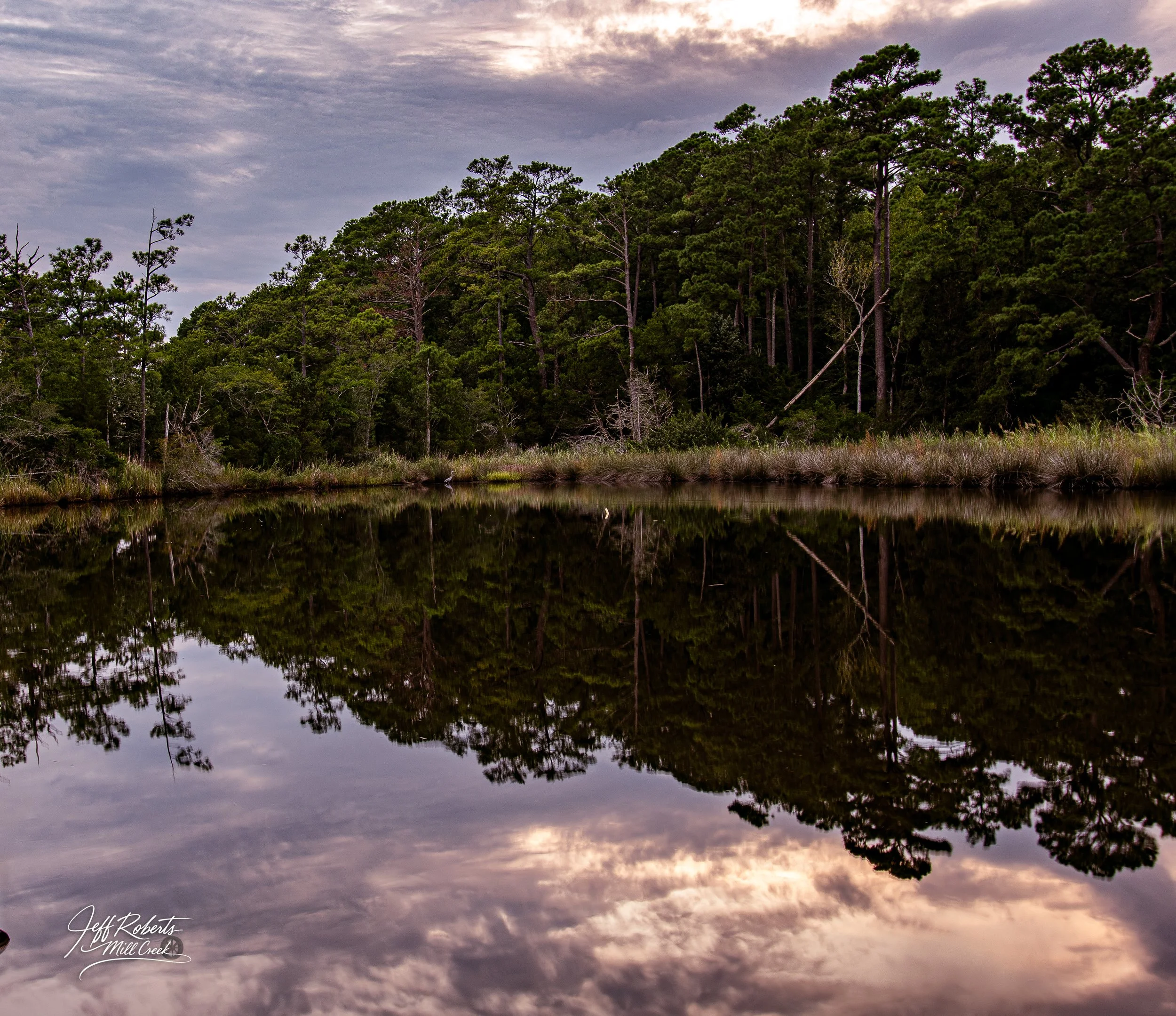 Reflection of trees and cloudy sky in a calm body of water at dusk.
