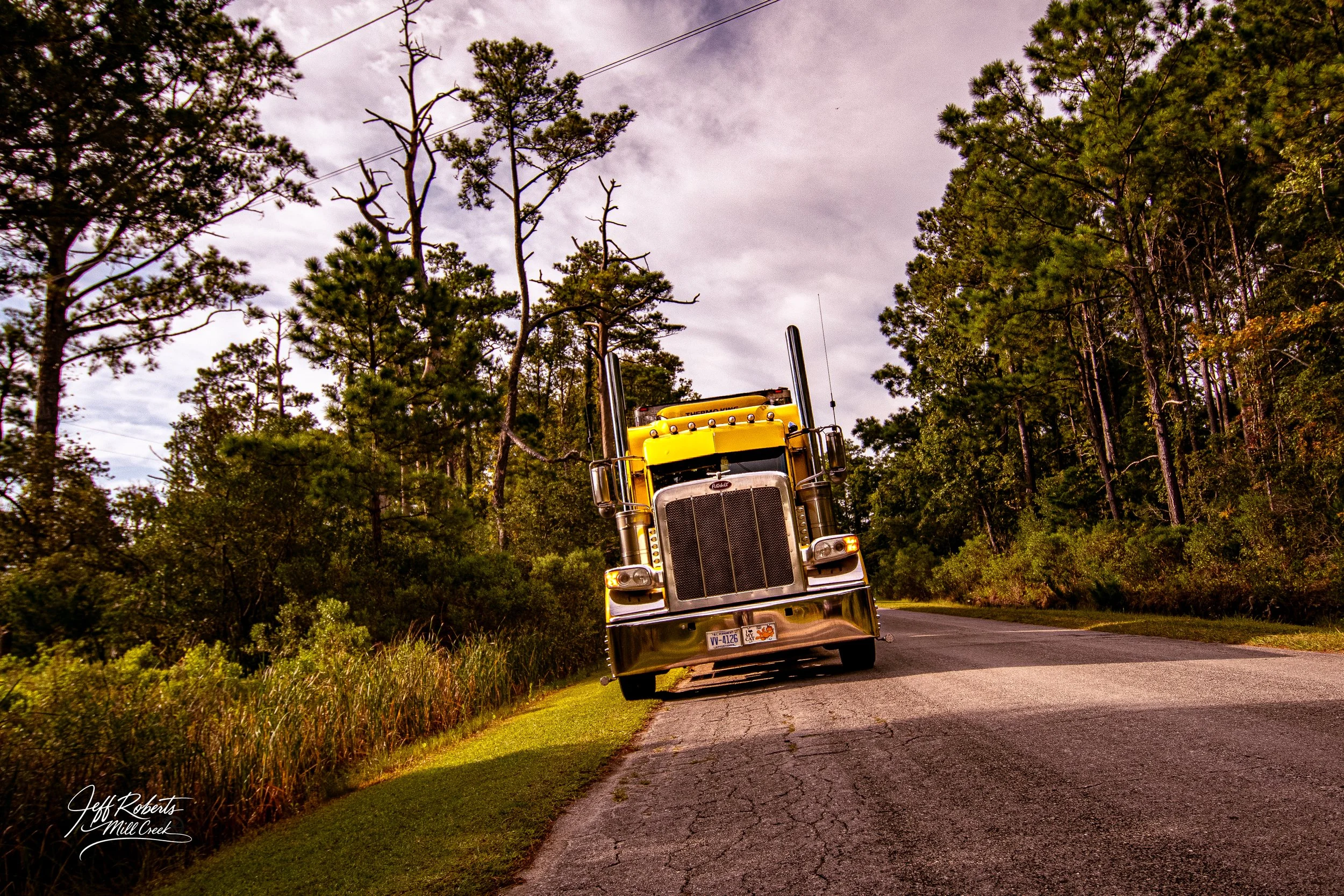 A yellow semi-truck driving on a winding road through a forested area with tall trees and overcast sky.