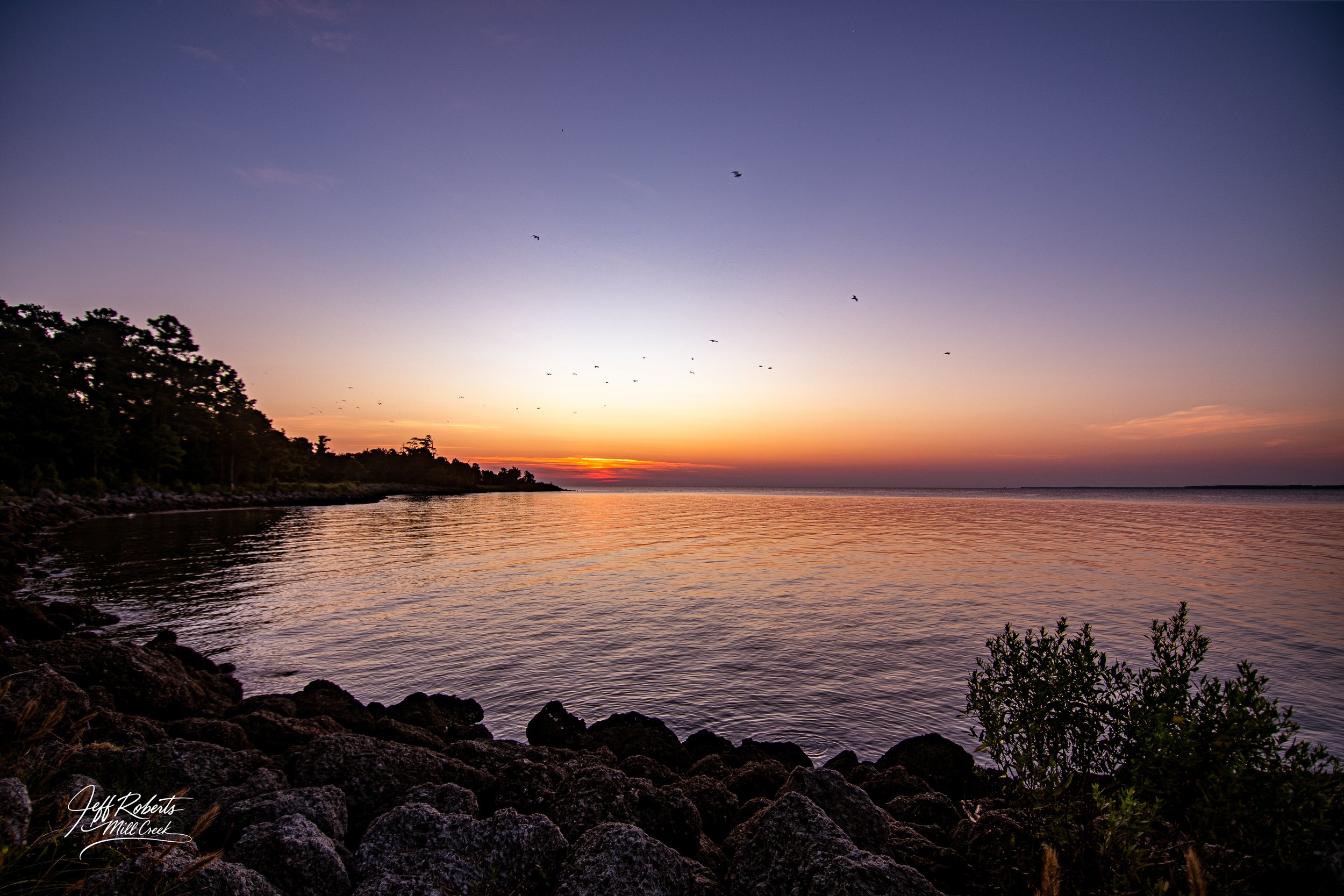Beautiful sunset over a calm body of water with birds flying in the sky and a rocky shoreline with some greenery in the foreground.