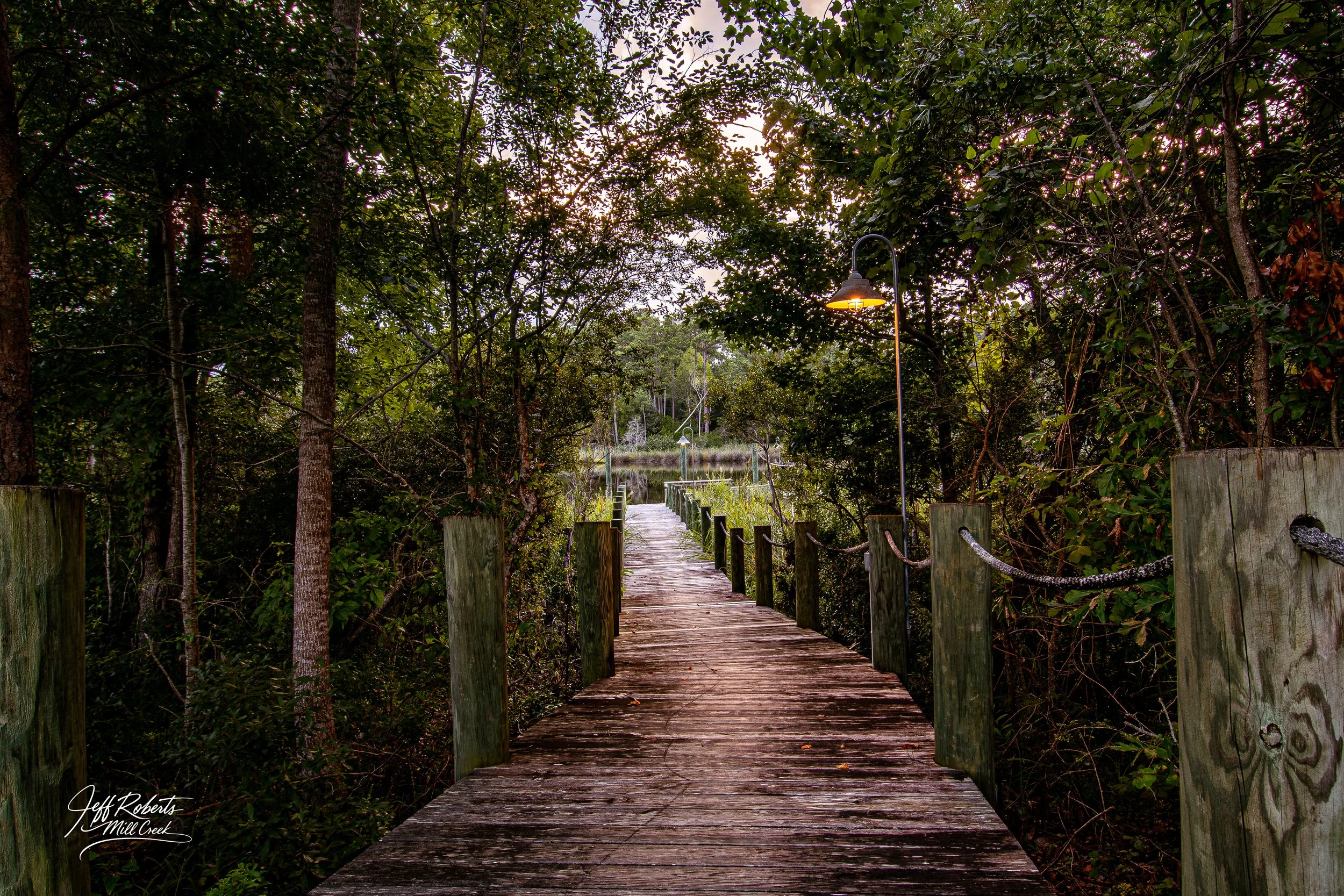 Wooden boardwalk through a lush, green forest with trees on both sides and a small pond or marsh at the end, illuminated by a streetlamp.