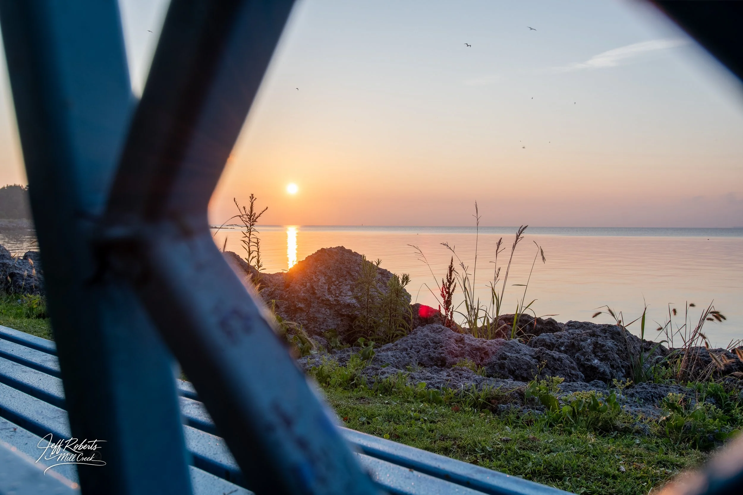 Sunset over a calm body of water with rocks and tall grass in the foreground, viewed through metal railings and a bench.