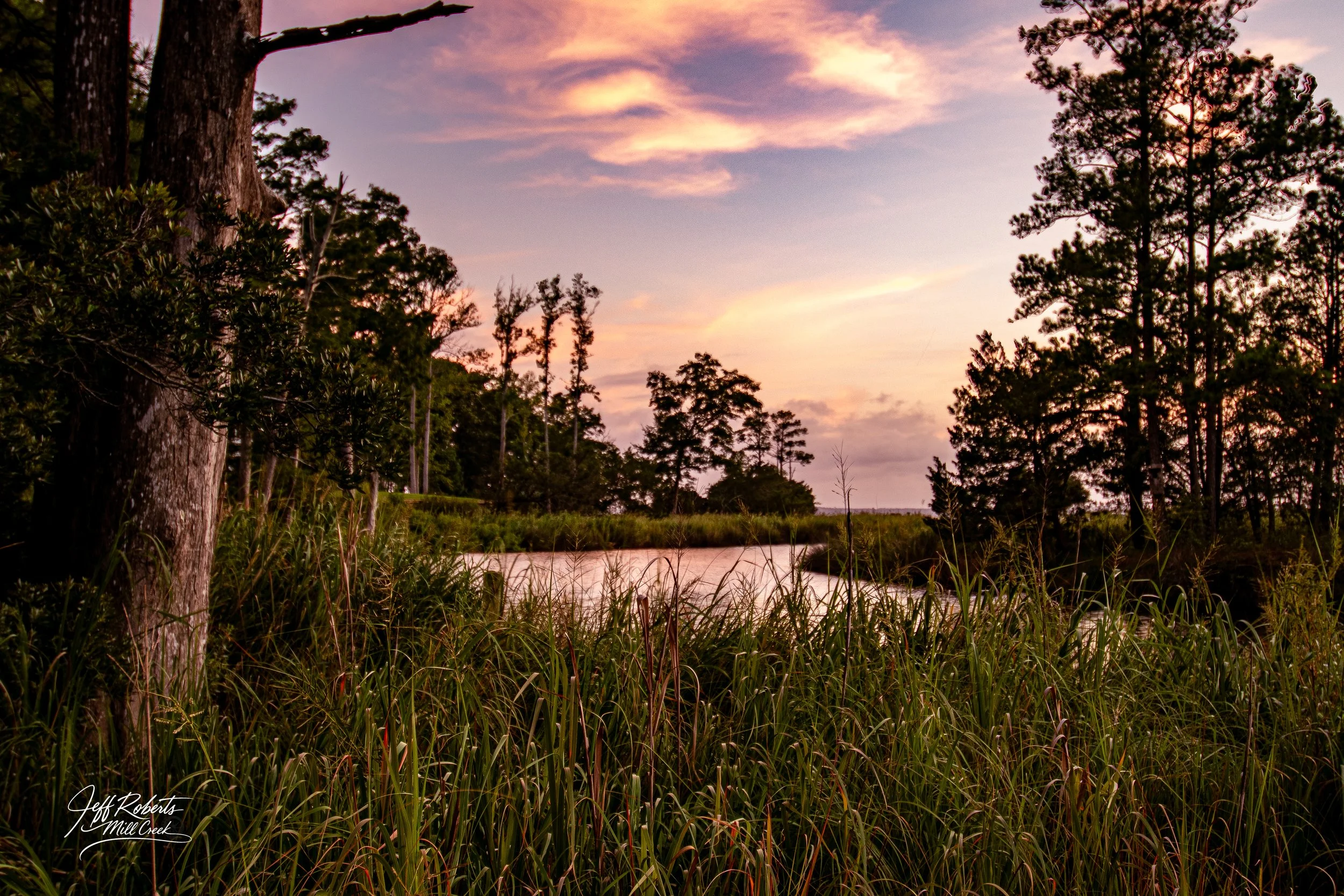 Sunset over a marsh with tall grasses and trees along the water, pink and purple sky with clouds.