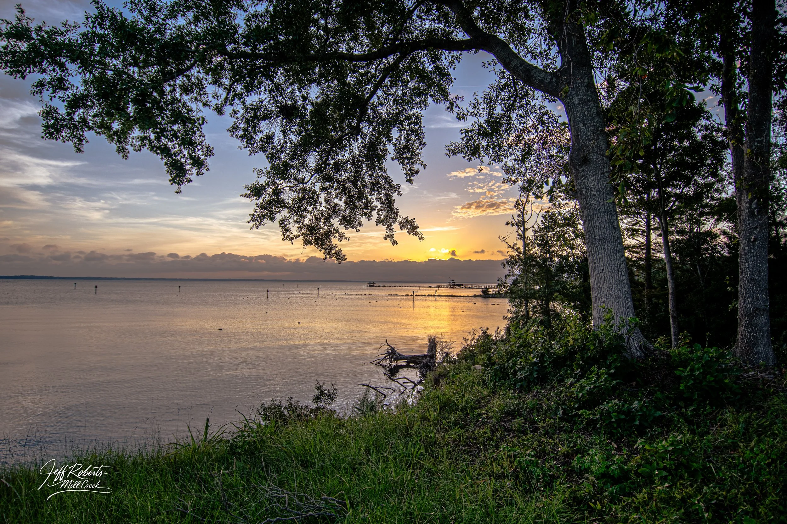 Sunset over a body of water with trees in the foreground and a wooden pier in the distance.