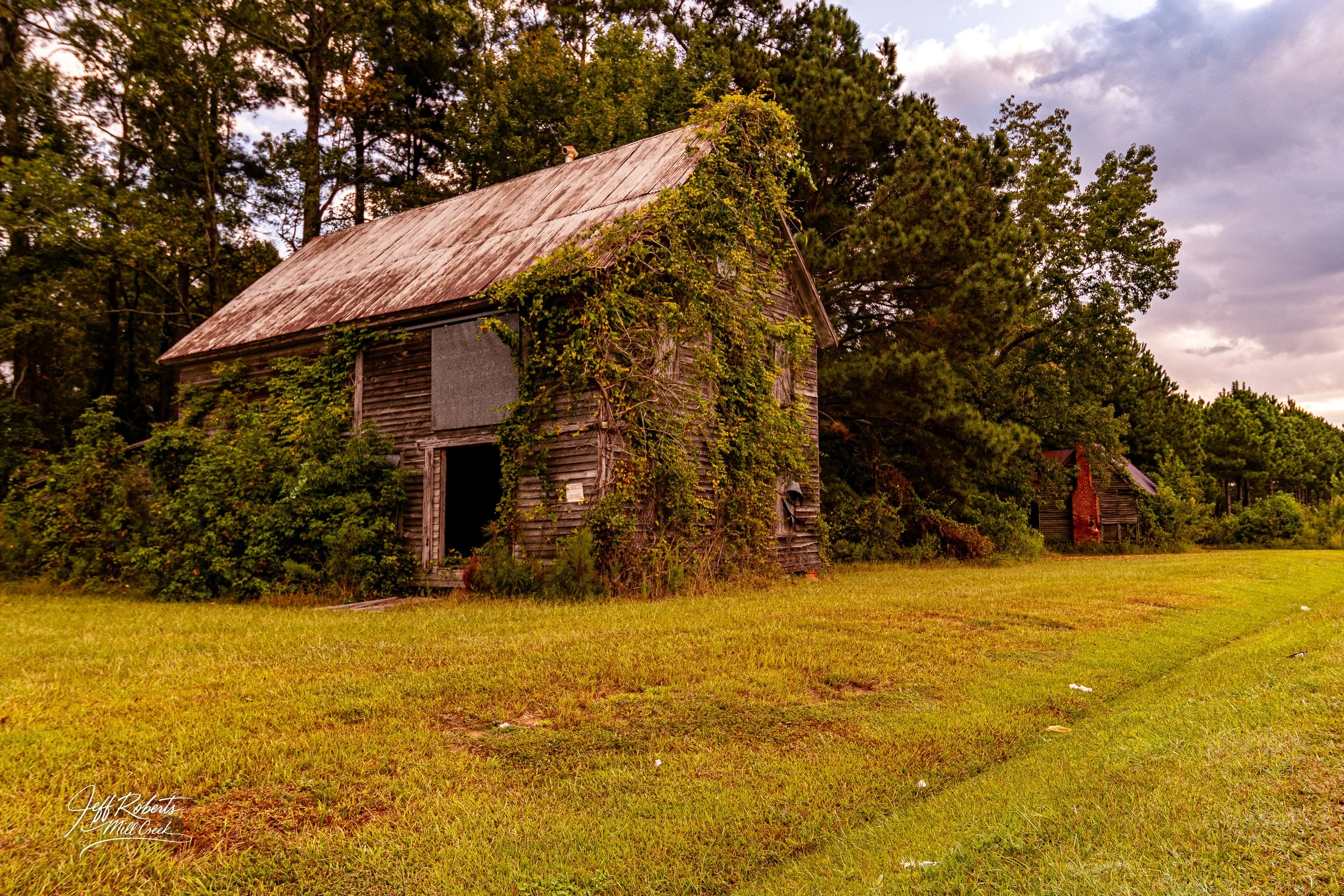 An old, abandoned wooden barn covered in vines and foliage, surrounded by a grassy field and trees under a cloudy sky.