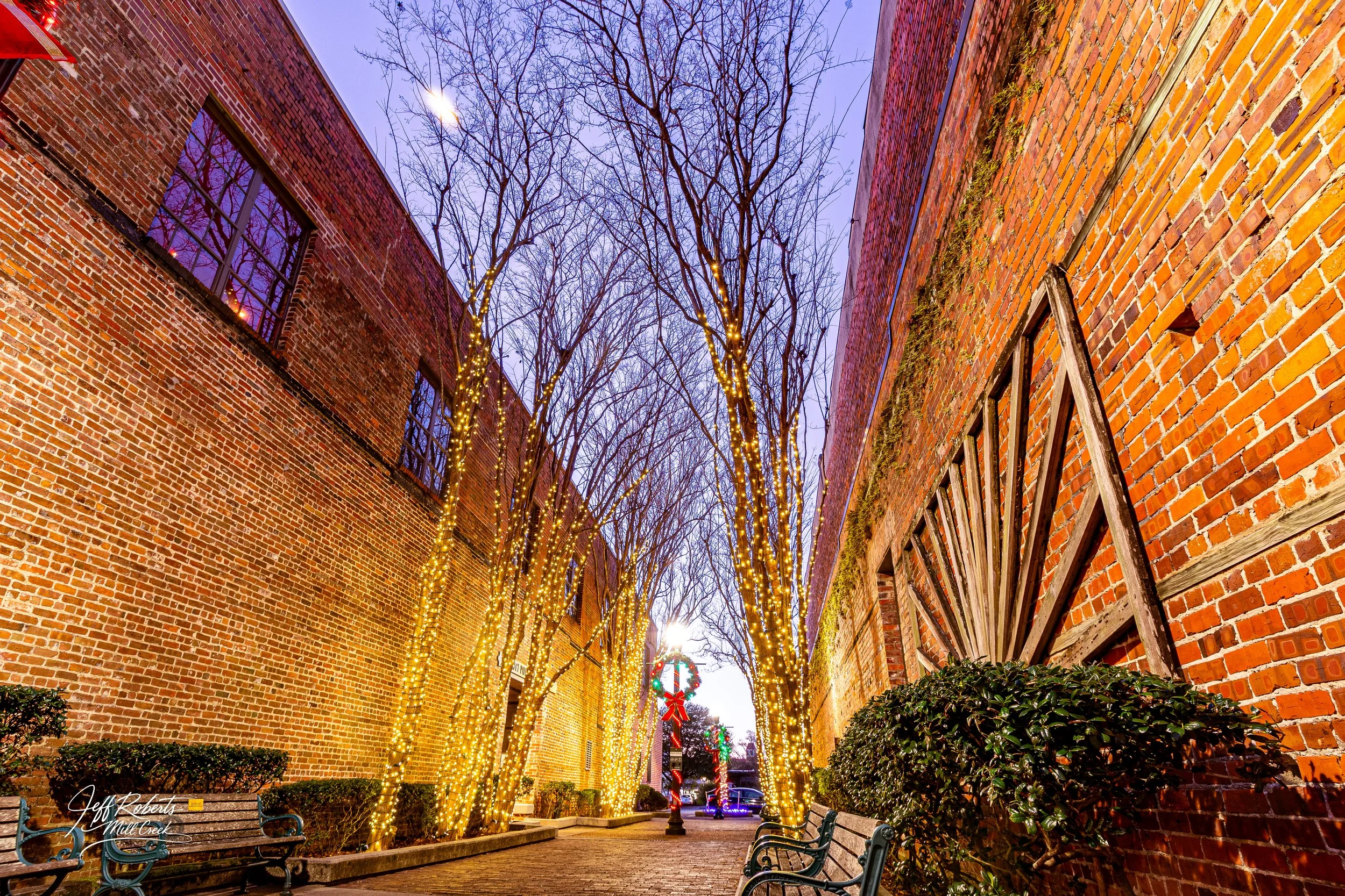A cobblestone alleyway decorated with Christmas lights, with leafless trees wrapped in string lights, brick buildings on both sides, and benches along the sidewalk.