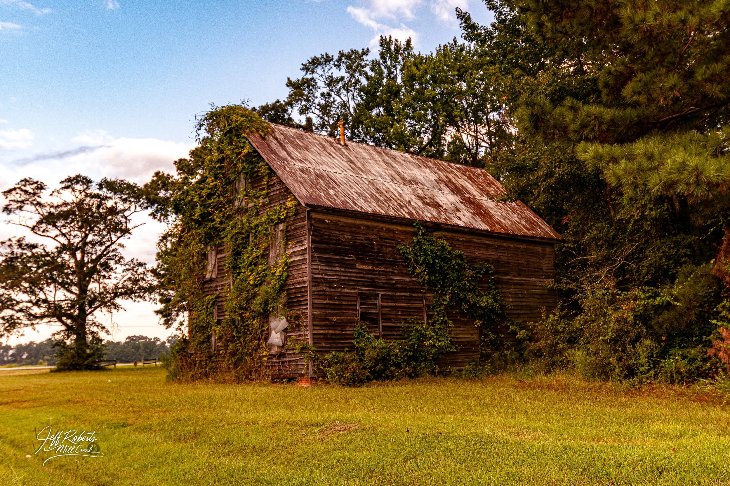 Old wooden barn with rusted metal roof, partly covered in climbing green vines, situated on grassy land with trees in the background.