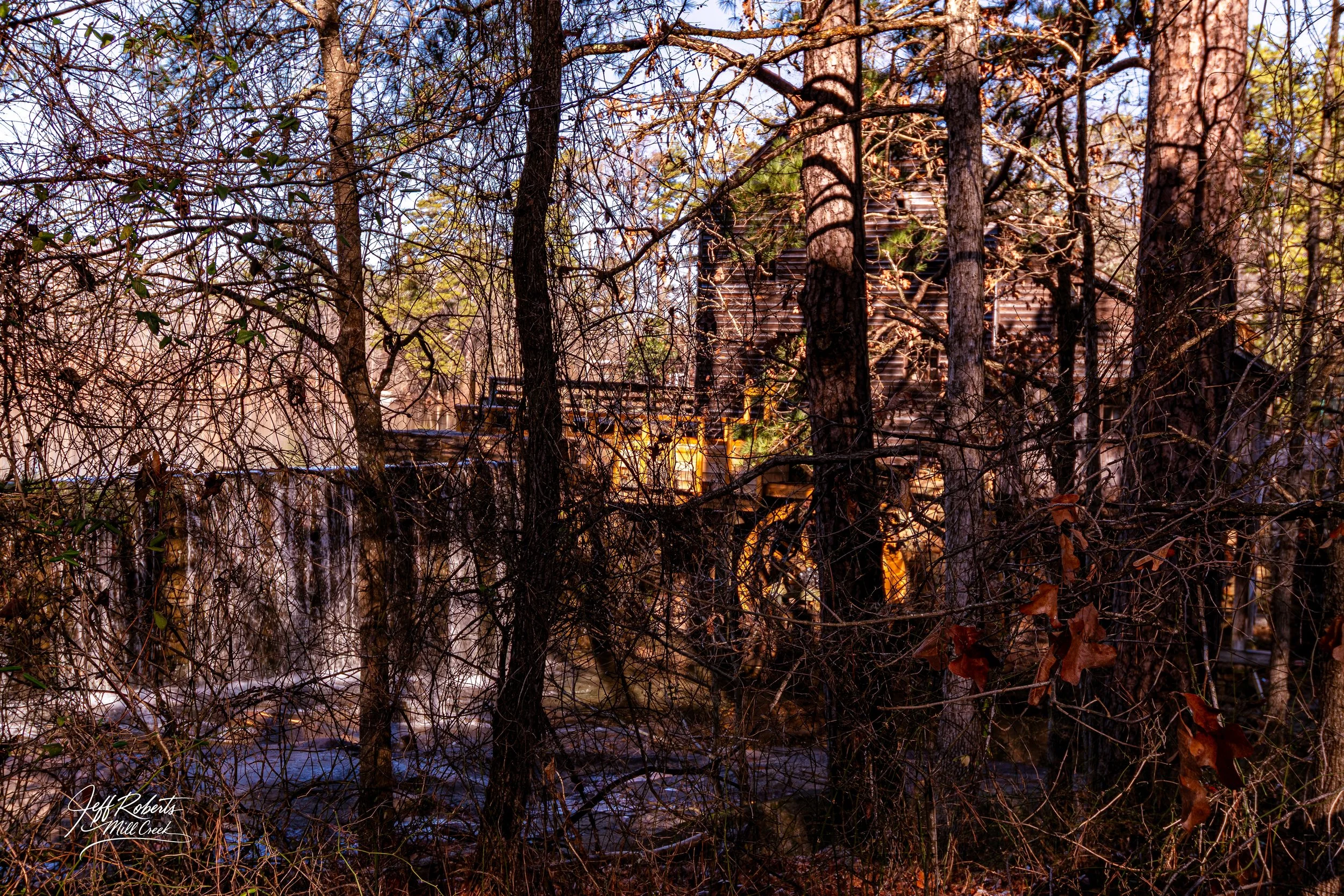 A dense forest with leafless trees and branches. In the background, partially obscured by the trees, a wooden structure with a porch is visible. The scene appears to be in winter or late fall, with some green leaves still on a few branches. The sunli
