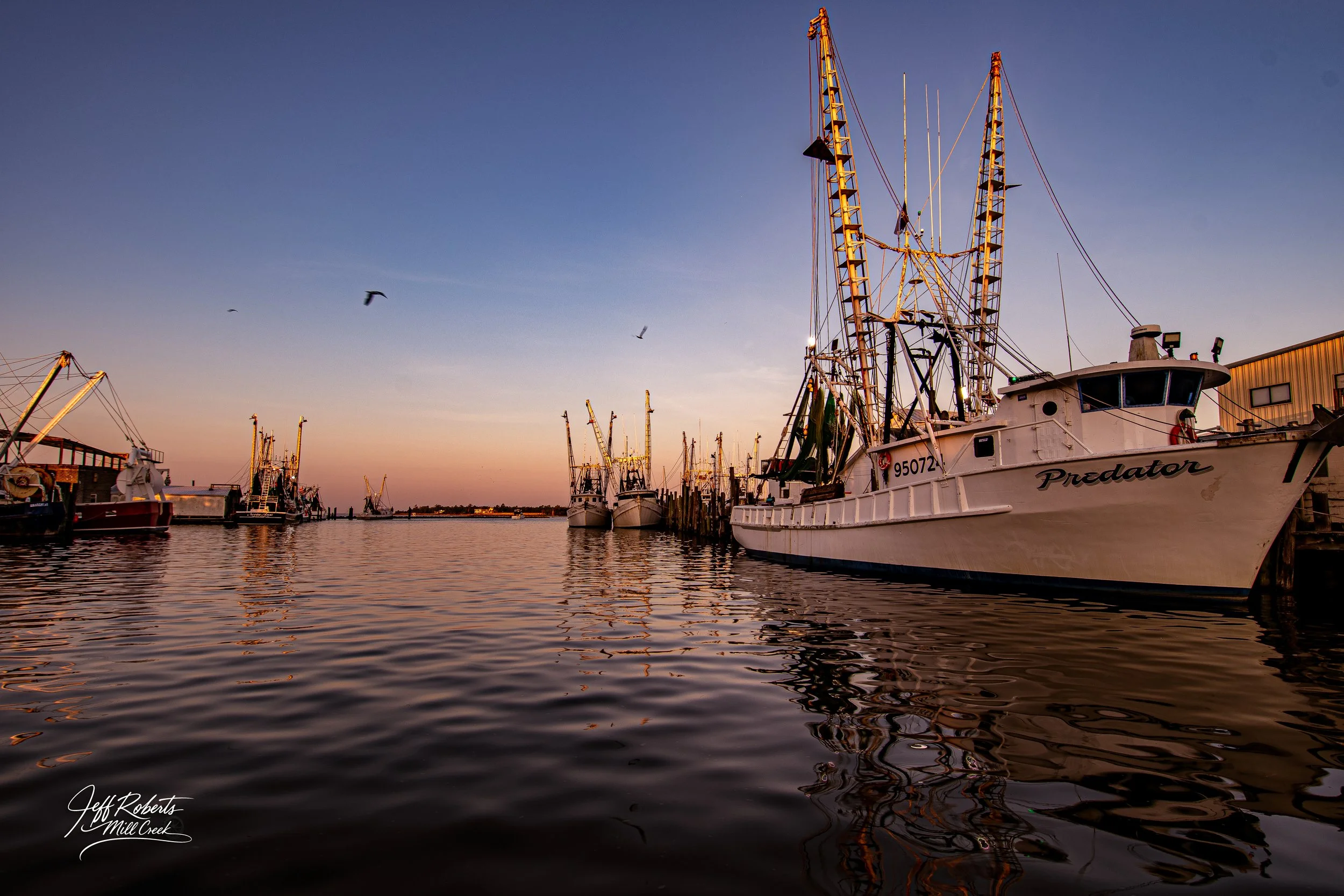 Several fishing boats docked at a marina during sunset, with the sky changing colors and birds flying overhead.