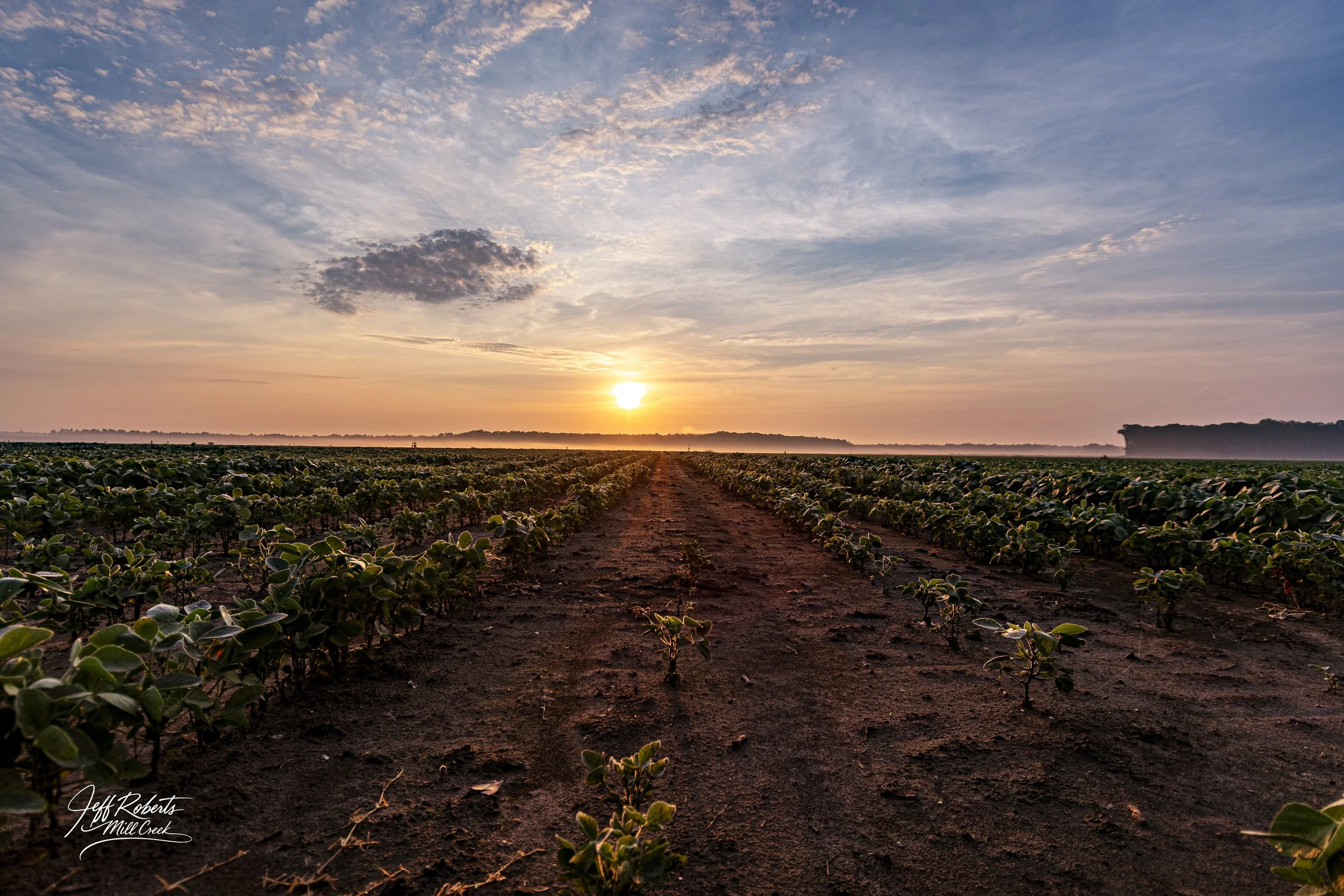 MCP_4083-HDR.jpg