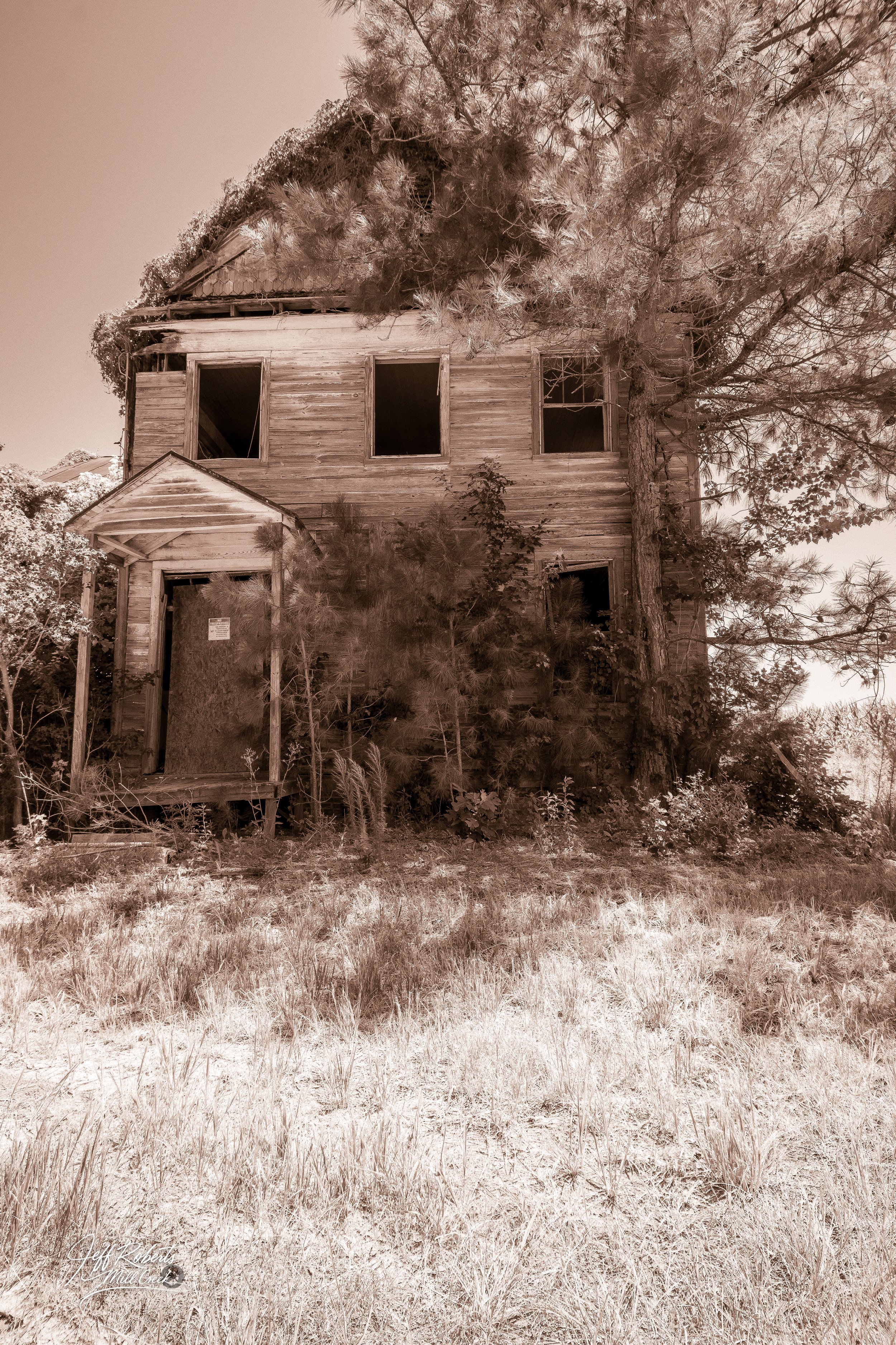 A dilapidated, abandoned wooden house with broken windows, overgrown vegetation, and a large tree partially obscuring the front of the house.