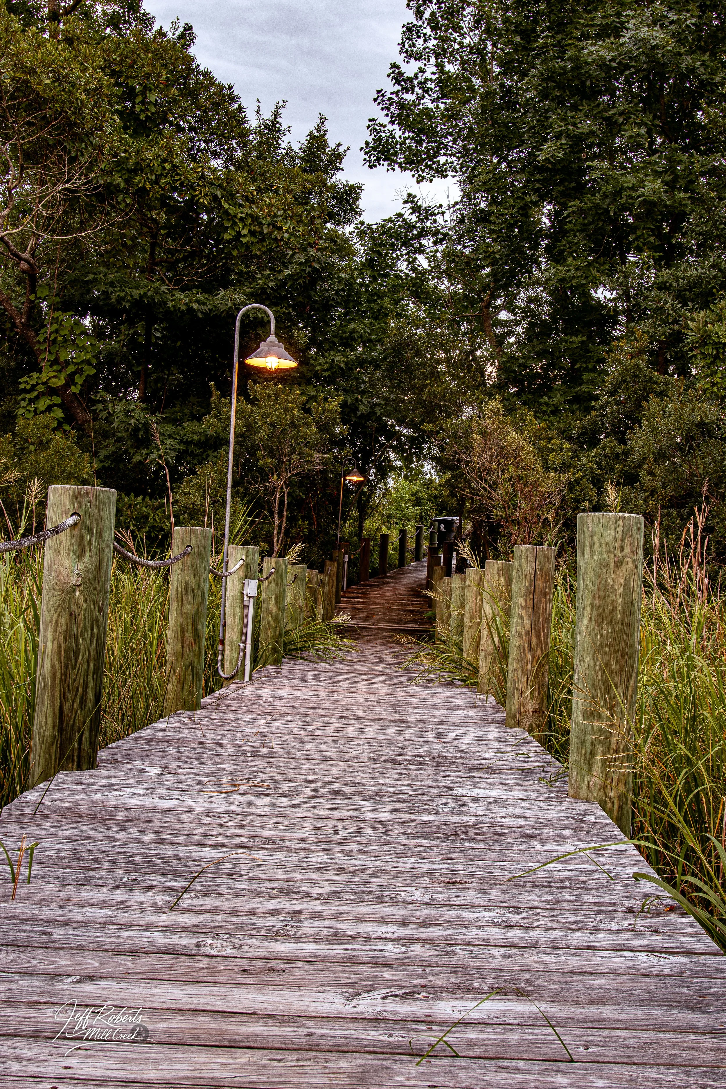 Wooden pathway through lush green trees and tall grass, illuminated by vintage-style street lamps at dusk.