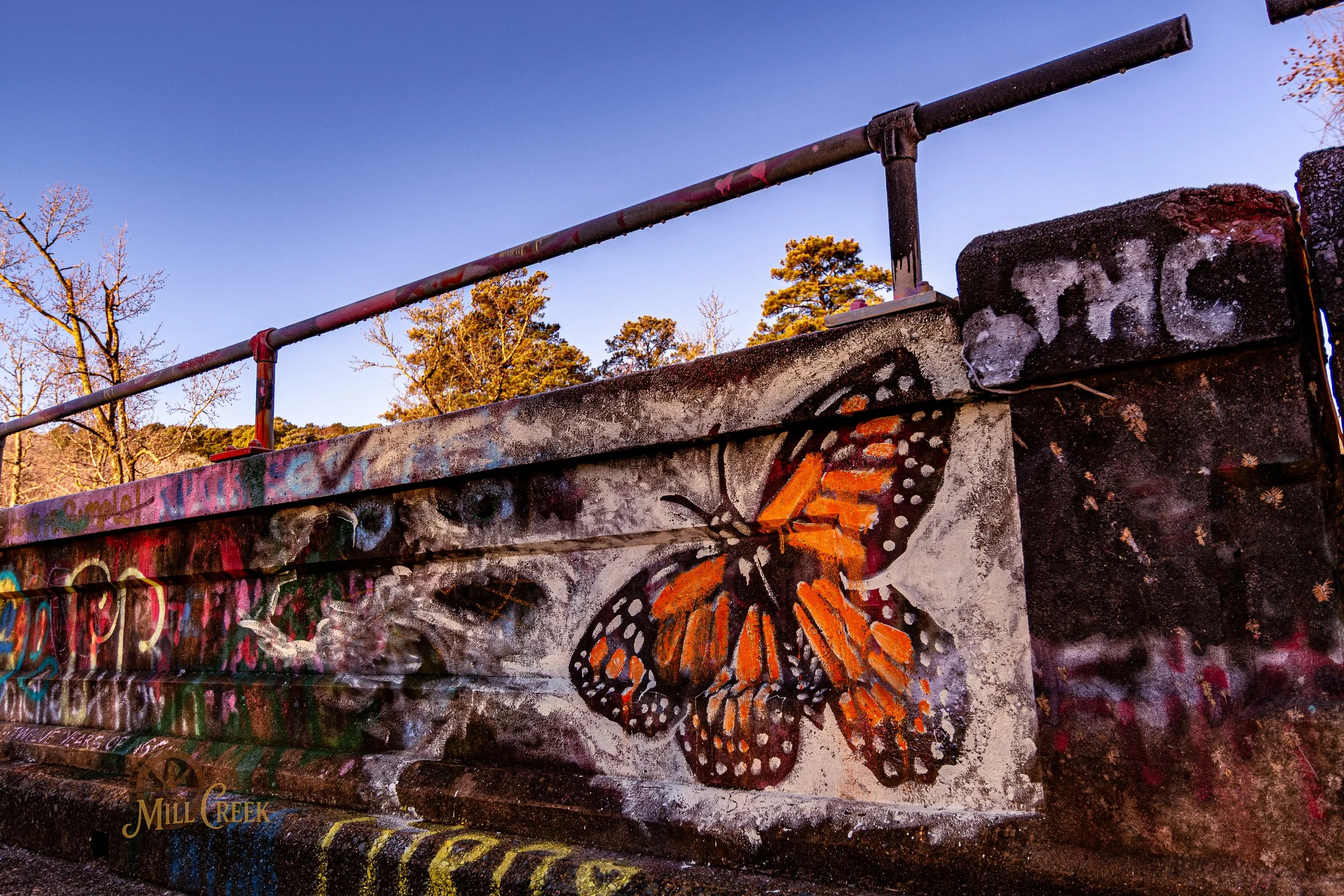 Street mural featuring a large orange and black butterfly painted on a concrete wall with graffiti and trees in the background.