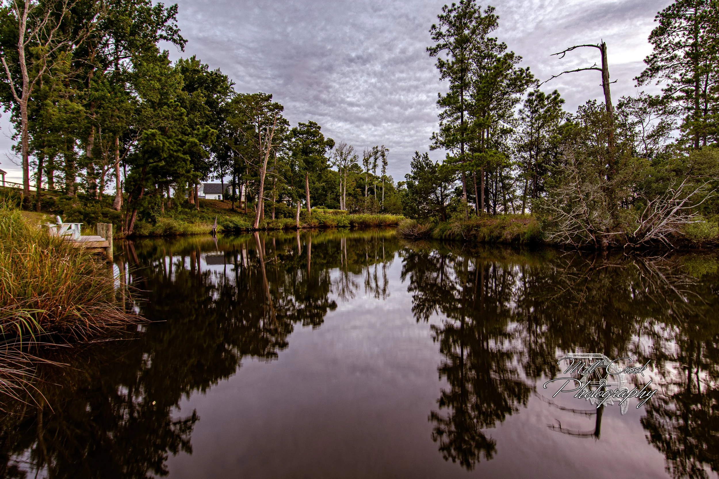 "Mirror Cove"
Trees and sky double perfectly on still, tannin-dark water. Subtle textures in the clouds and shoreline create a serene, symmetrical coastal study.