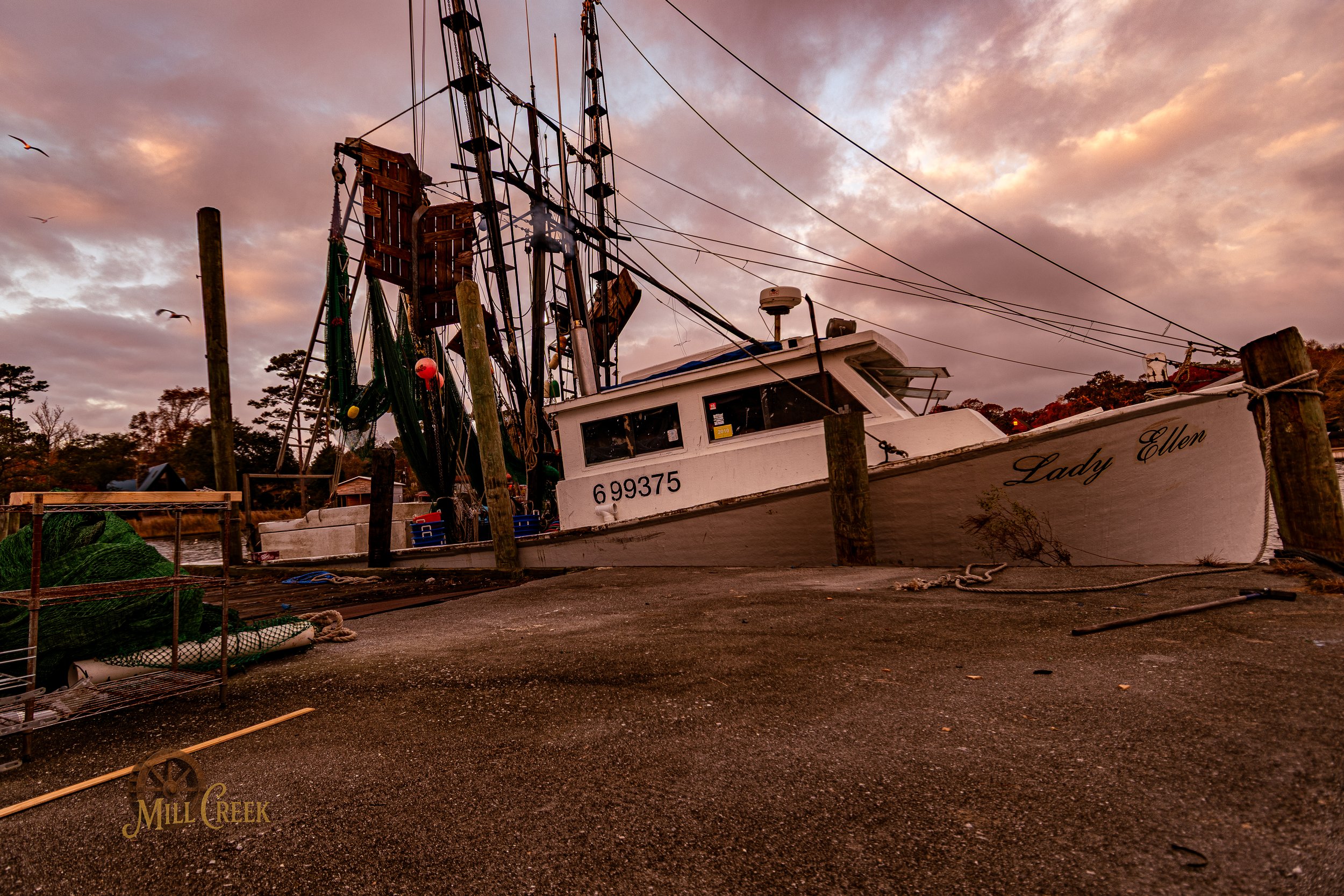 MCP-2026-Sneads Ferry-Invasion-42.jpg