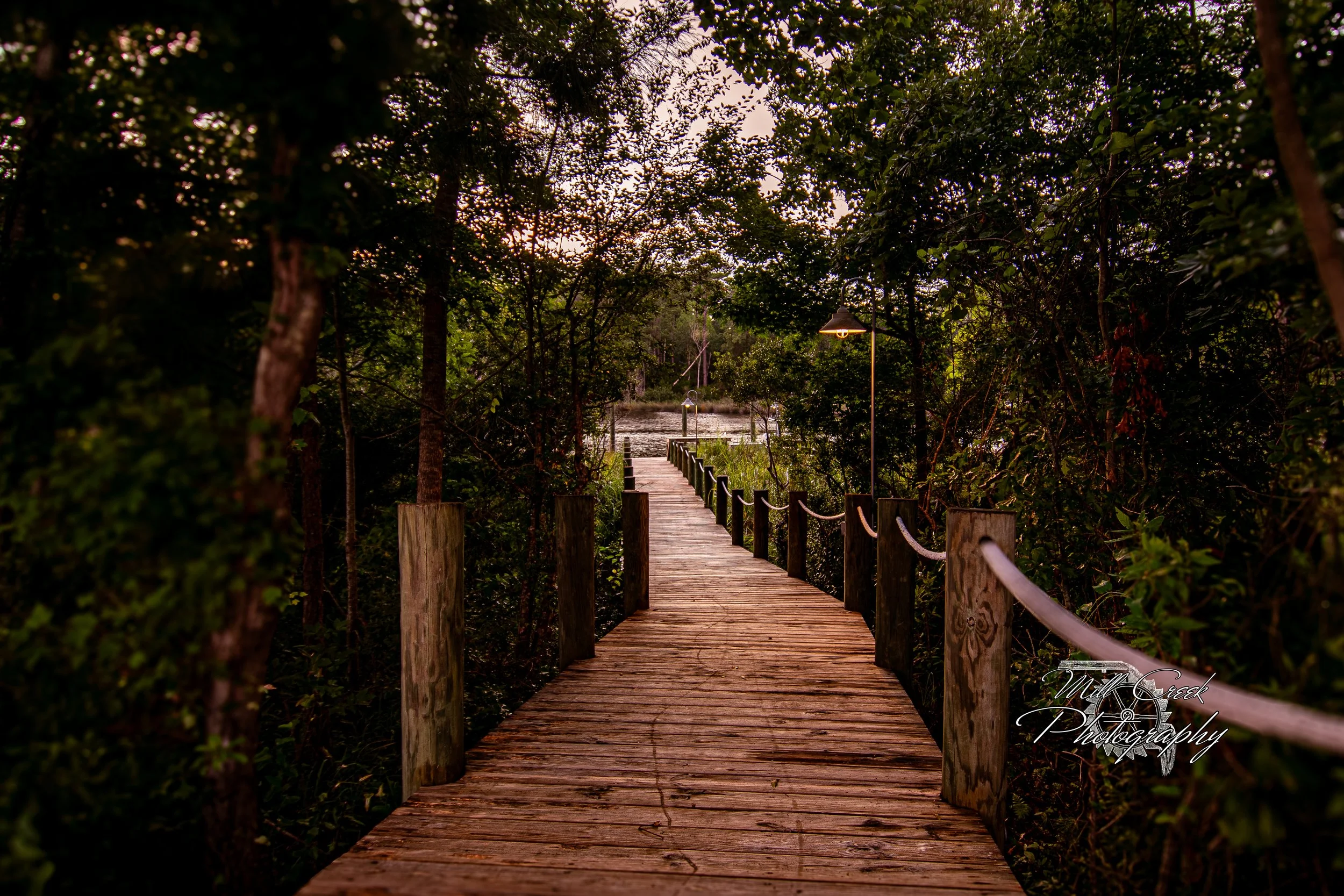 "Boardwalk to Day's End"
A weathered wooden walkway slips through the maritime forest toward a mirror-still creek; warm lamps guide the way.
