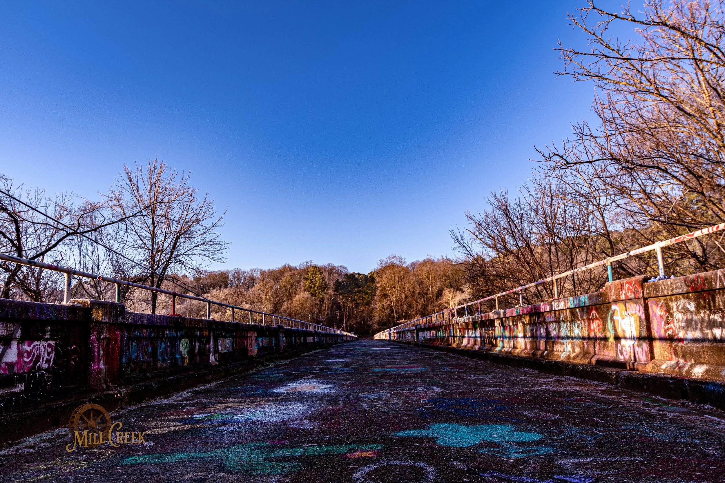 A graffiti-covered bridge with trees on both sides, under a clear blue sky.