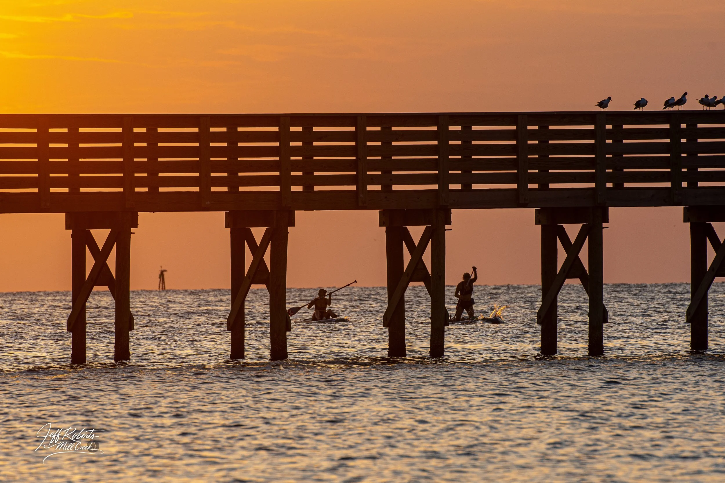Sunset over a pier with seagulls on top, while people are paddleboarding and fishing below on the water.