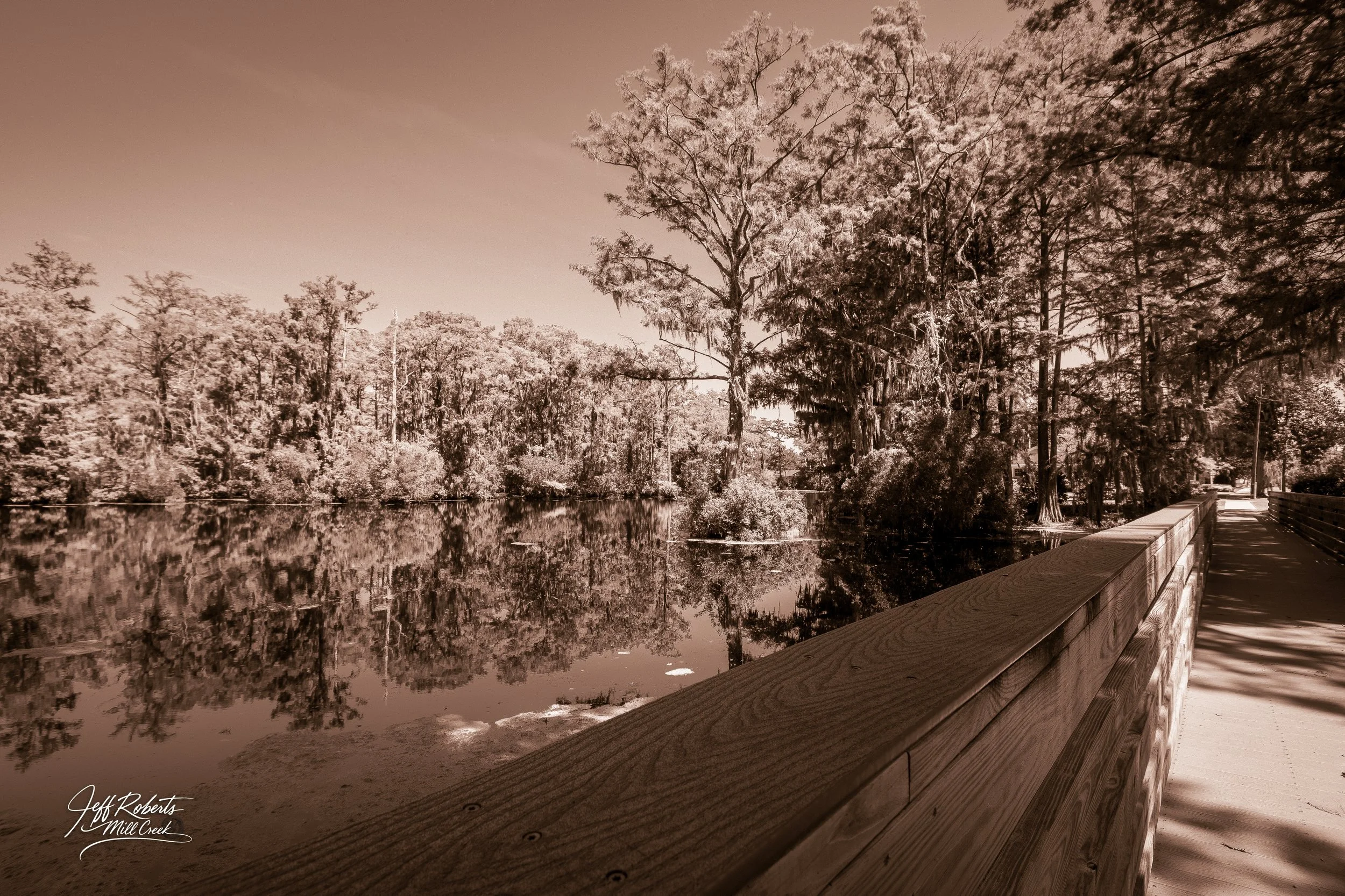 A sepia-toned photograph of a bridge over a creek, surrounded by tall trees and dense foliage, with their reflections visible in the water.