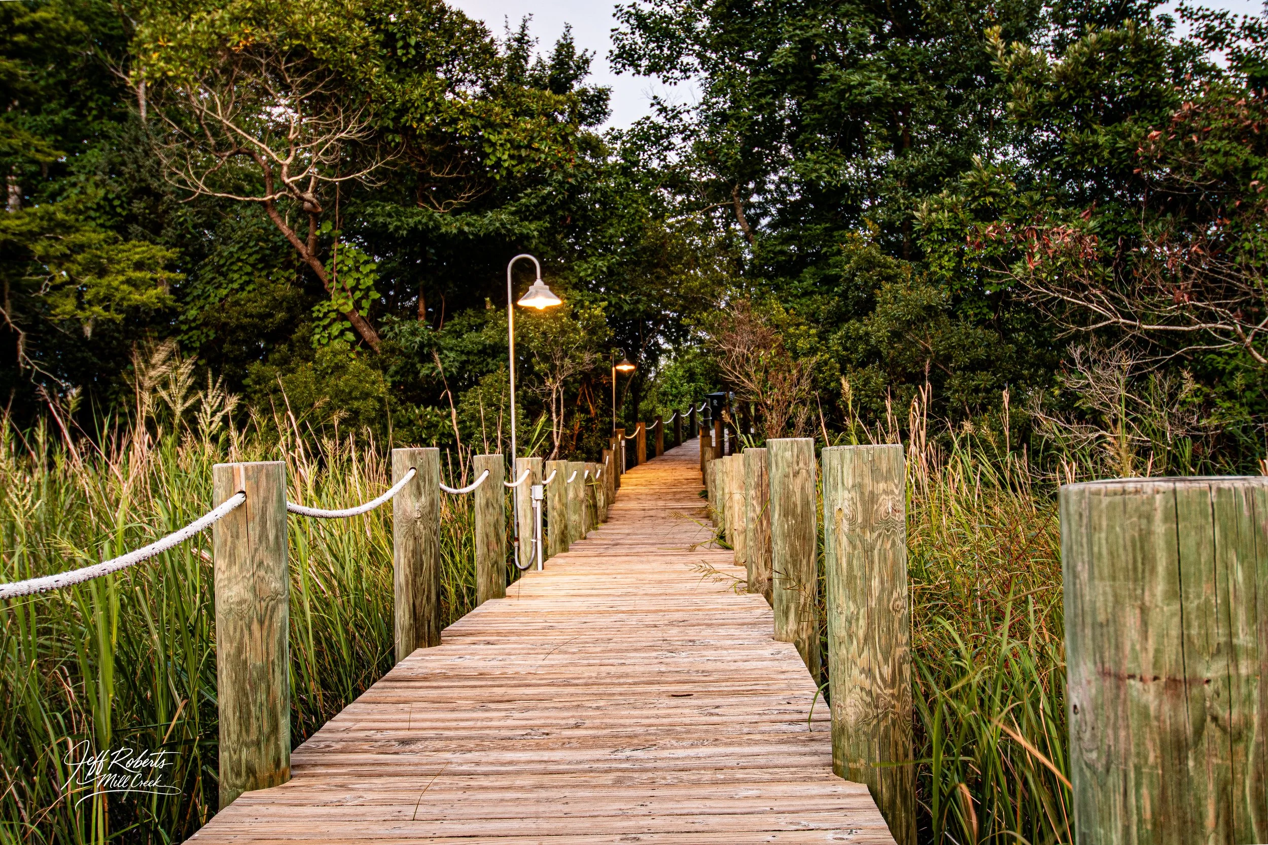 Wooden boardwalk surrounded by tall grass leading into a forested area with trees and illuminated street lamps.