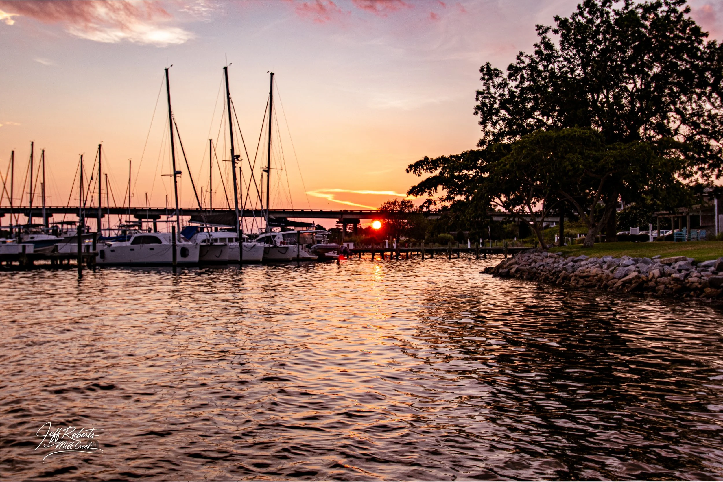 Sailboats docked at a marina during sunset with trees and a rocky shoreline in the background.