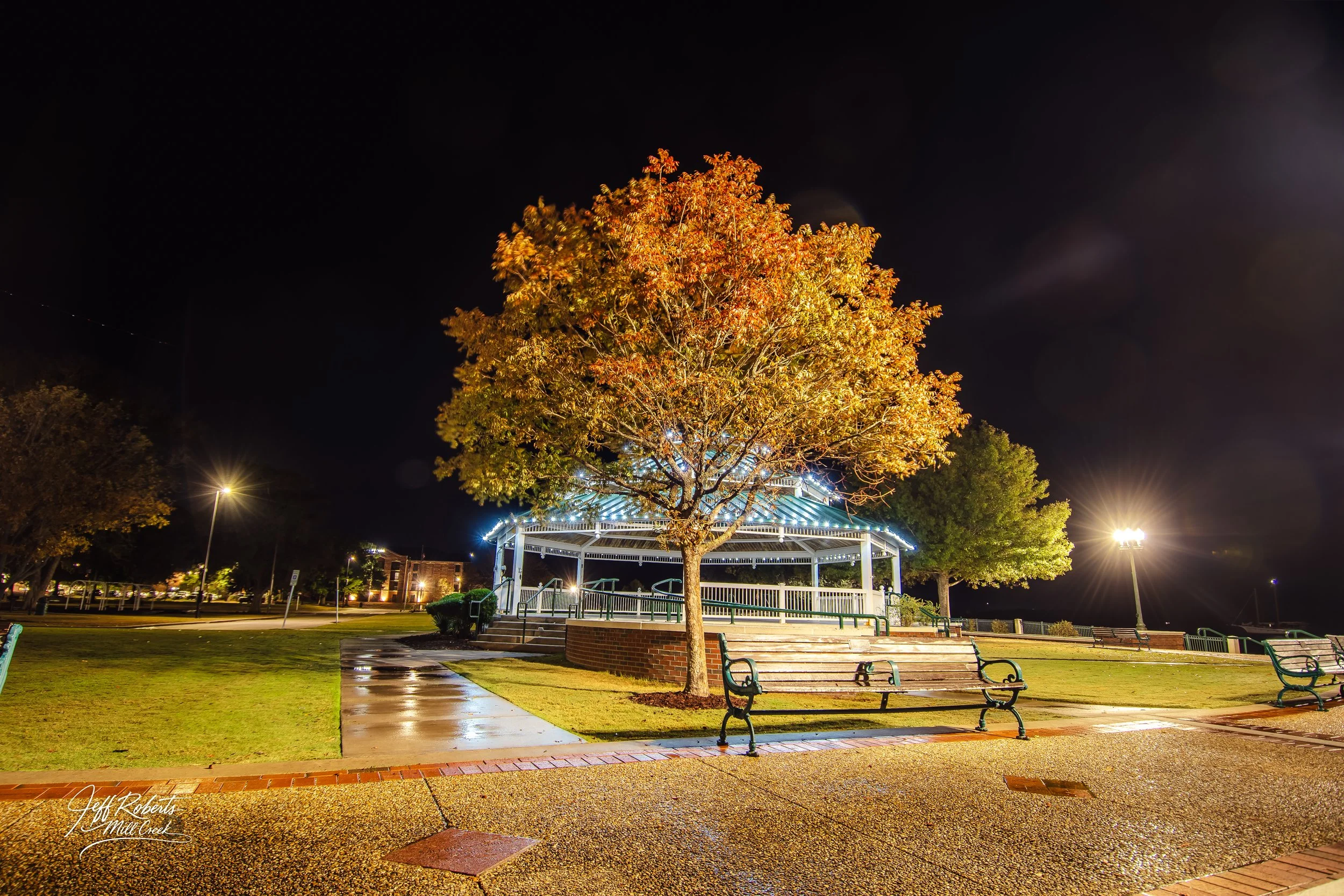 A illuminated park at night featuring a large tree with orange leaves in front of a gazebo. The park has benches, streetlights, and a paved walkway, with the grass and pavement reflecting light.