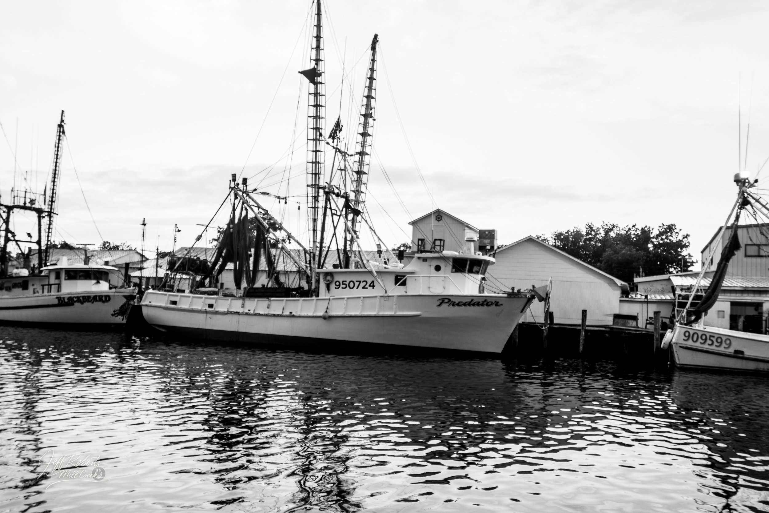 Black and white photo of boats docked at a marina with houses and trees in the background.