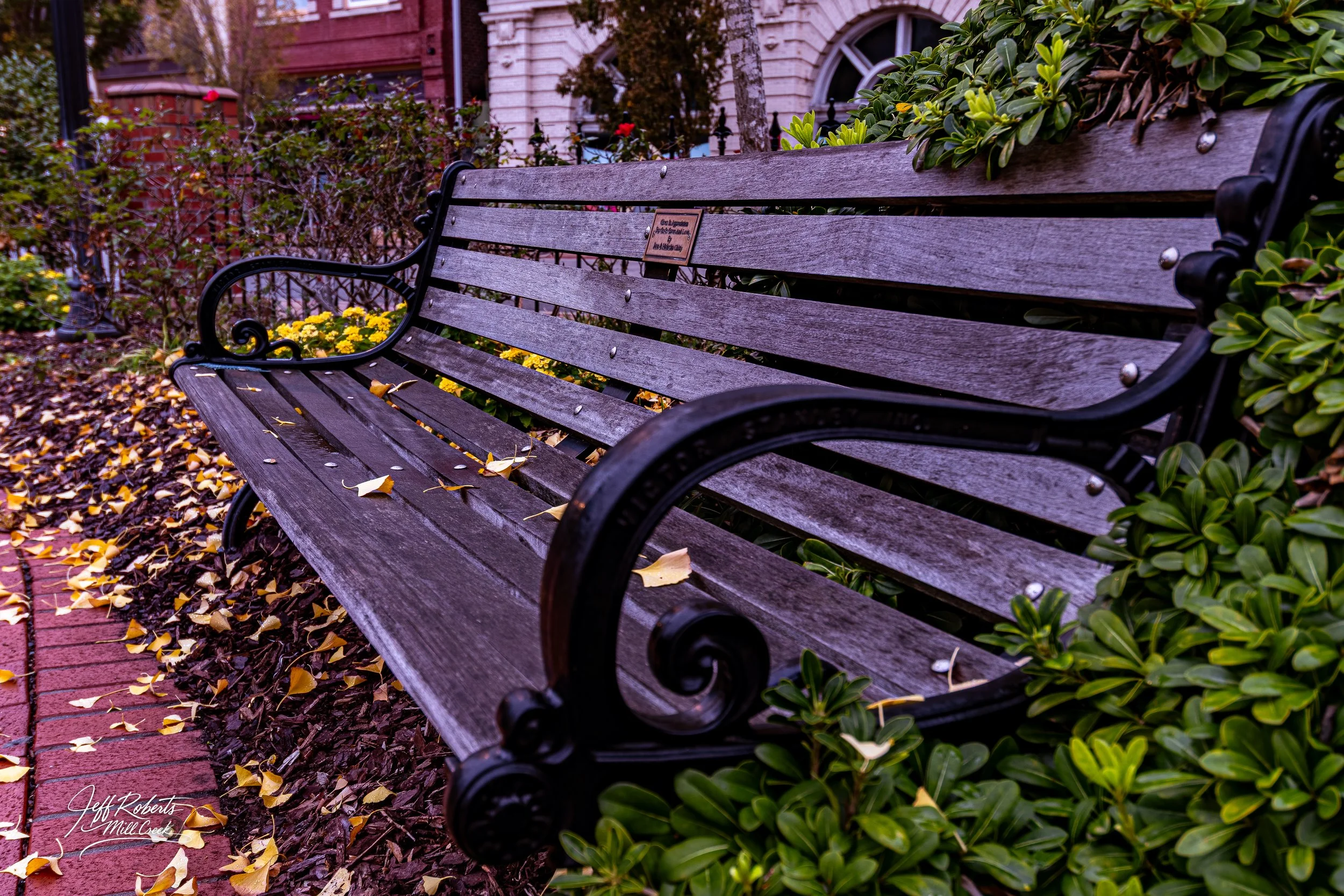 A wooden park bench with black metal armrests and back supporting slats, located on a sidewalk with fallen yellow and brown leaves, surrounded by green bushes, with a background of buildings and flowers.