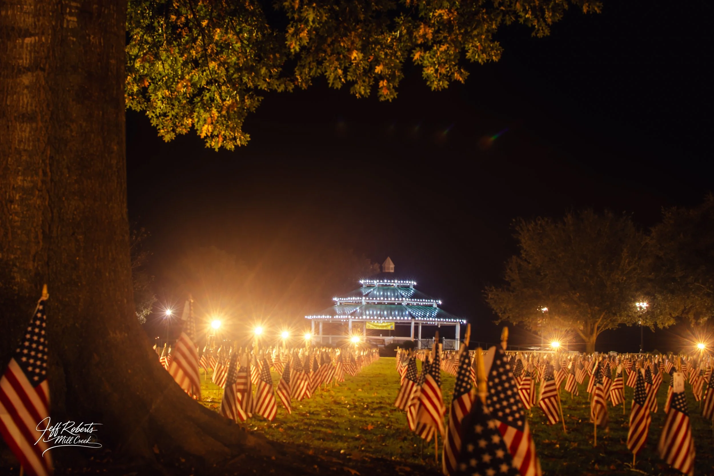 Nighttime scene with many American flags on a field, a large tree on the left, and lit-up pavilion in the background.