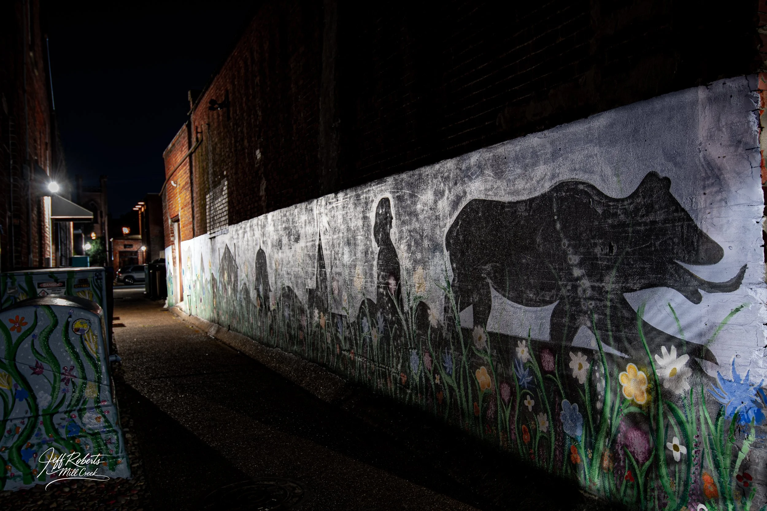 Nighttime mural of various animal silhouettes, including a bear and a fox, painted on a long brick wall, with illuminated street and colorful painted barriers in the foreground.