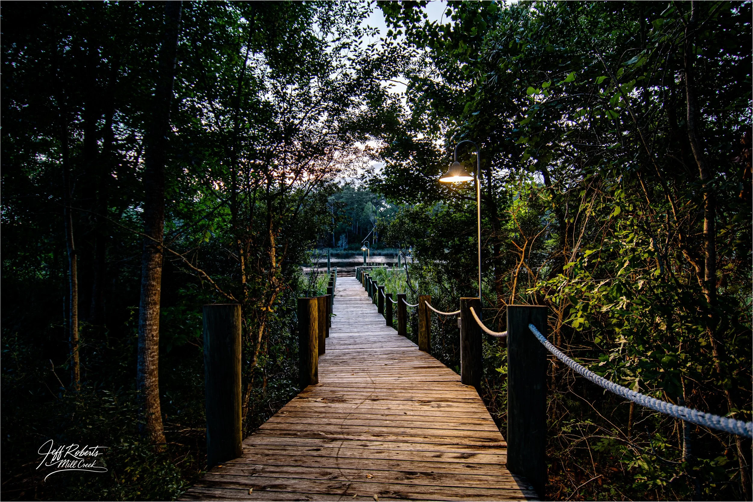 A wooden walkway in a dense forest with trees on both sides, rope railings, and a few lamps illuminating the path, leading to a body of water in the distance during dusk or dawn.