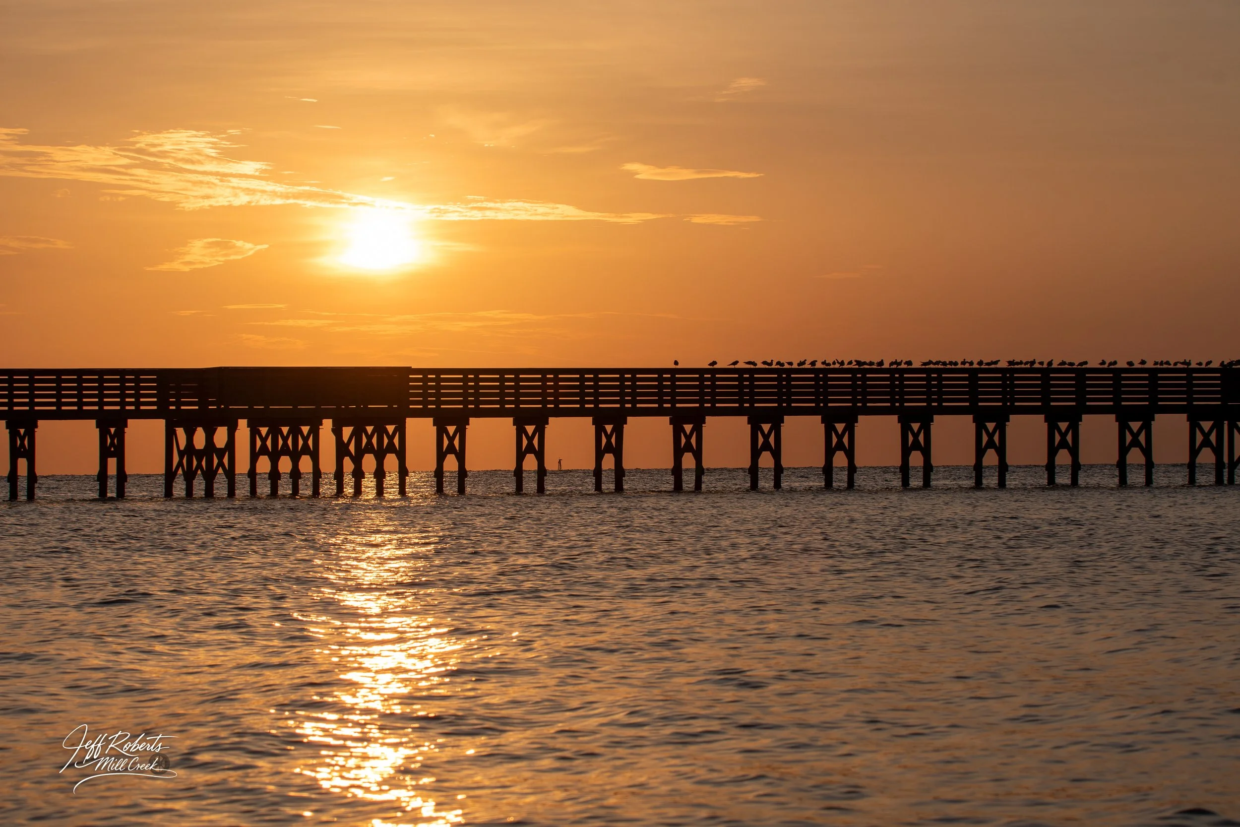 Sun setting over a pier extending into the water with birds perched on the railing.