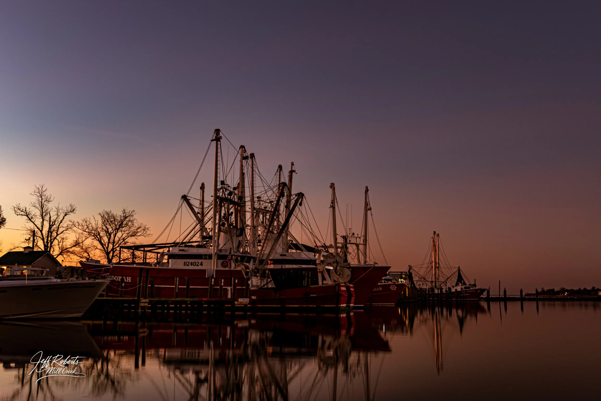 Boats docked at a marina during sunset with trees and buildings in the background.