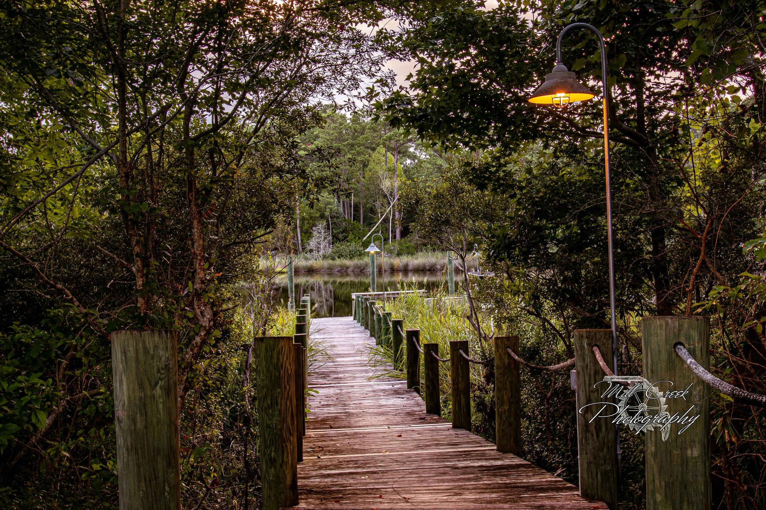 "Path to Mill Creek"
Framed by thick summer foliage, a narrow boardwalk draws the eye to glassy reflections ahead. Warm lamplight adds a welcoming touch to the shaded path.