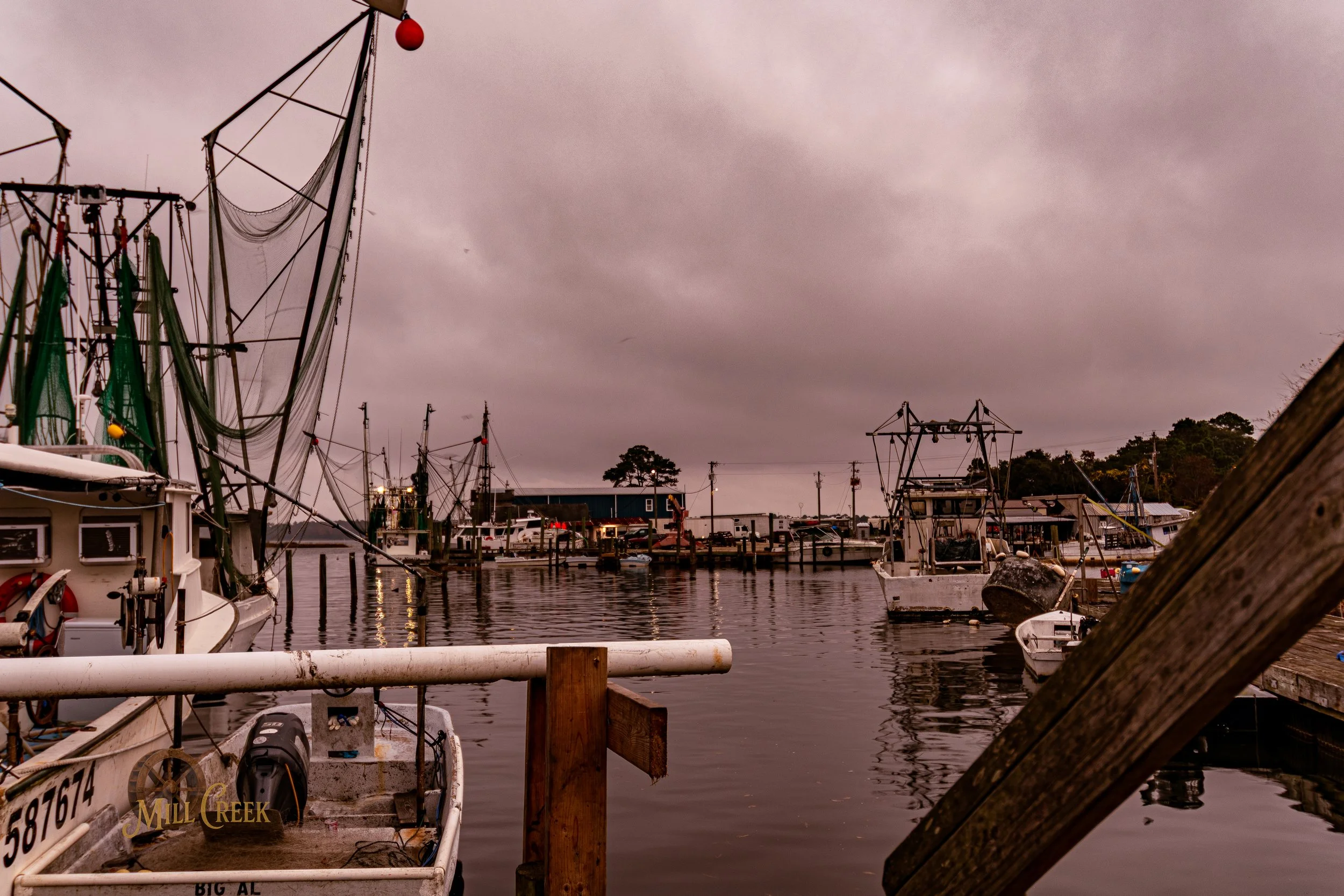 MCP-2026-Sneads Ferry-Invasion-27.jpg