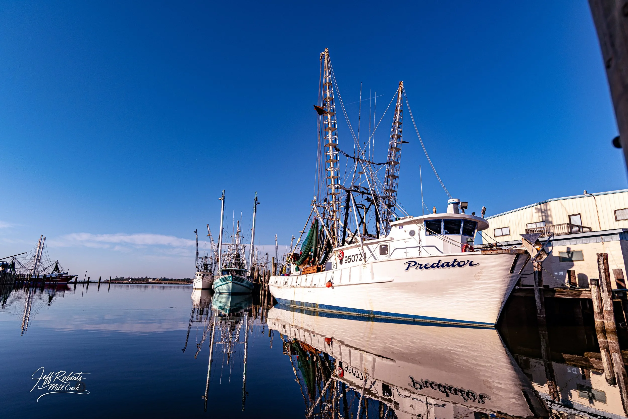 Several boats docked at a marina with calm water, clear blue sky, and buildings in the background.