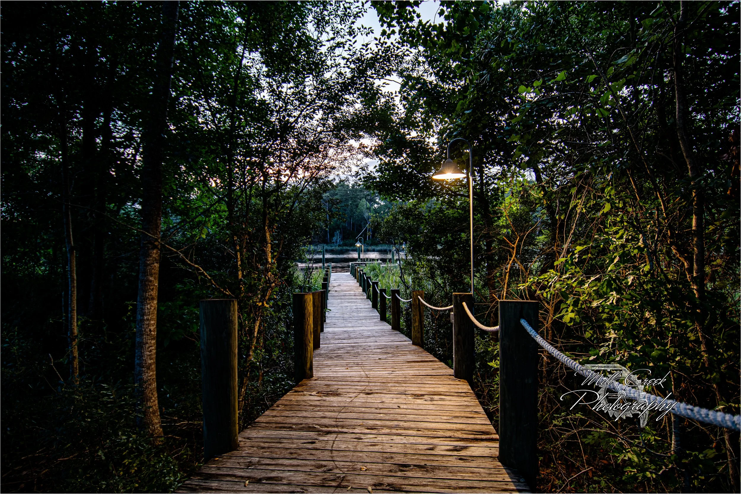 "Dusk on the Boardwalk"
Evening settles under the canopy; a single lamp pools light on the planks as the path meets the creek.