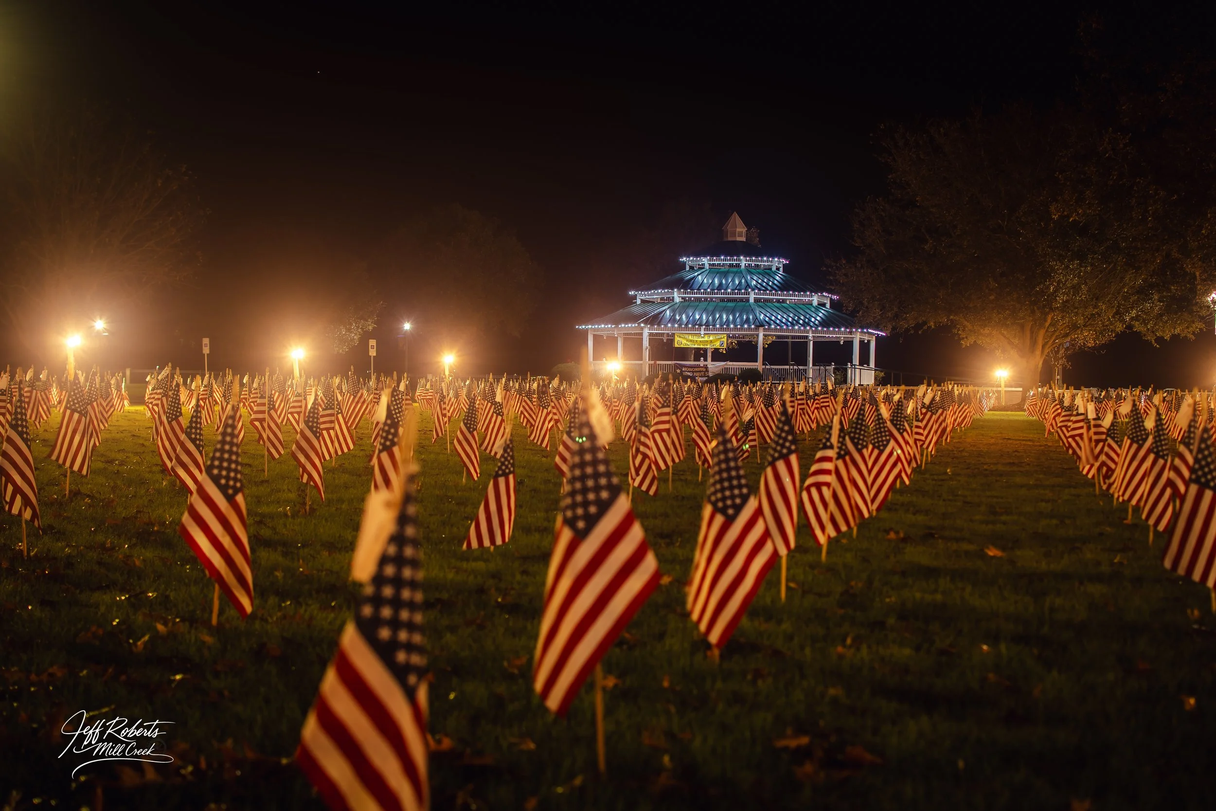 Nighttime display of numerous American flags arranged in rows on a grassy field, with a lit pavilion and large trees in the background.
