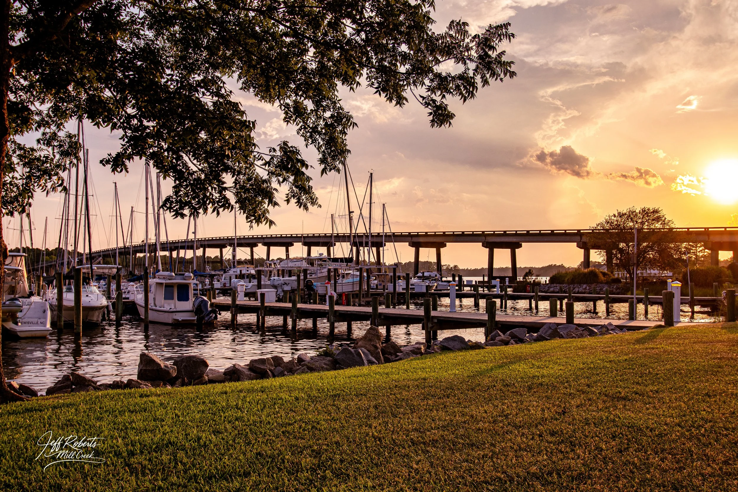Sunset over a marina with boats docked along the pier, a large tree in the foreground, a grassy area, and a bridge in the background.