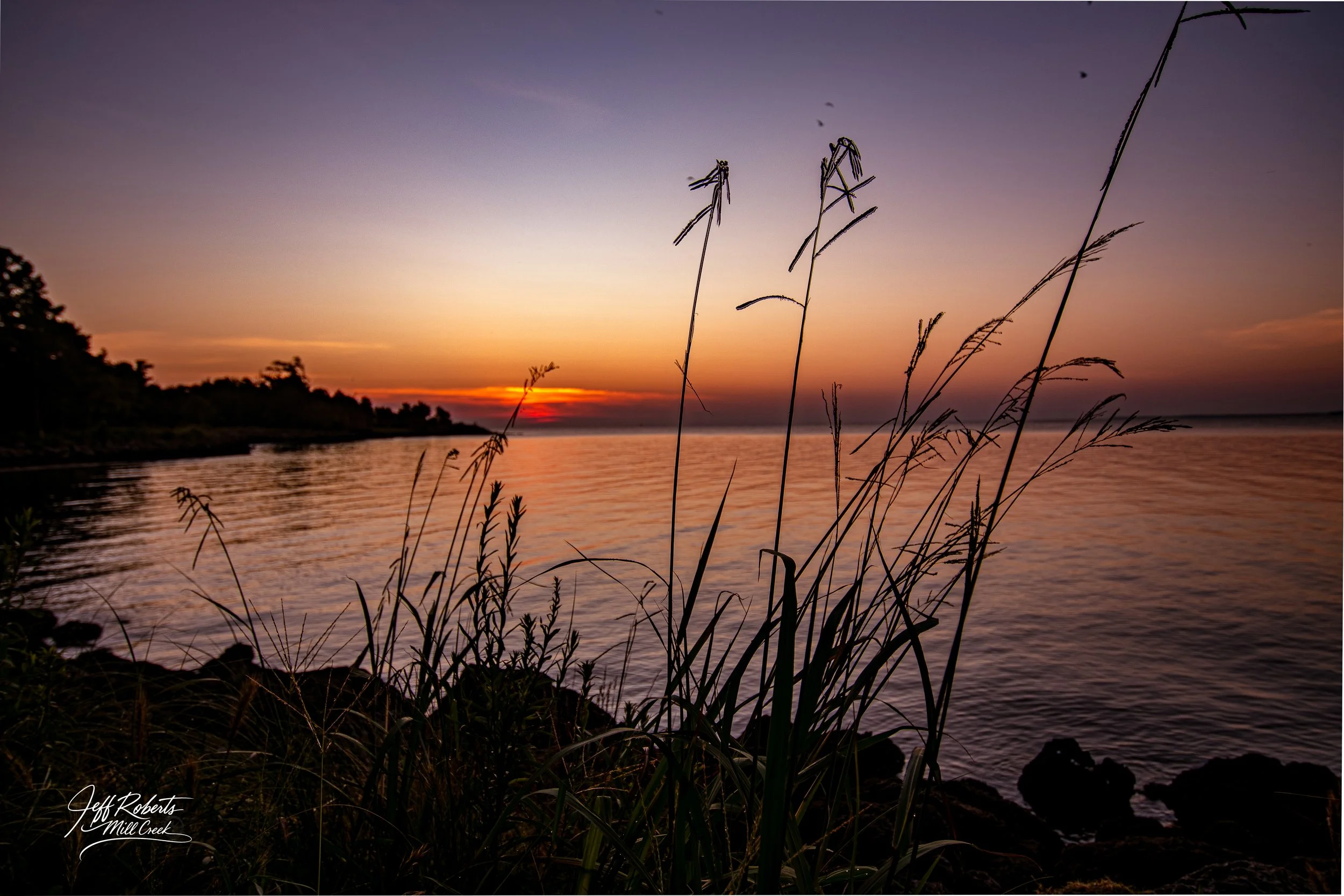 Sunset over a body of water with tall grass and rocks in the foreground, and a tree-lined shoreline in the distance.