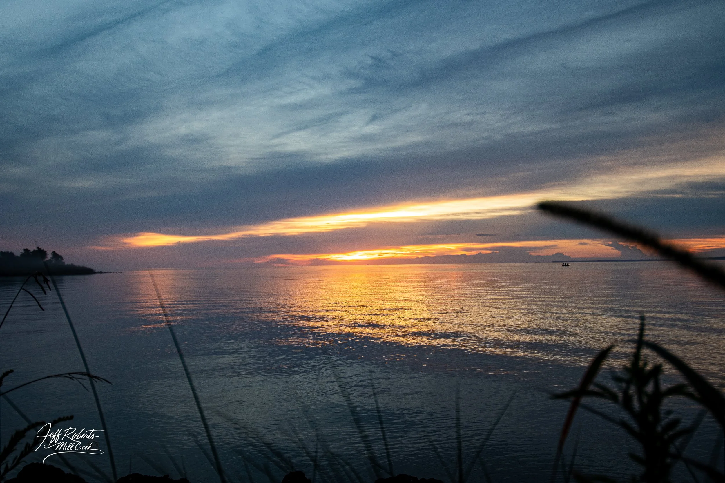 Sunset over a calm body of water with cloudy sky, silhouette of distant boat, and plants in foreground.