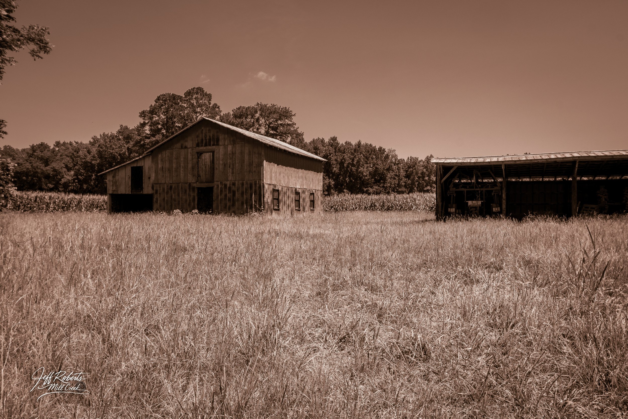Old wooden barn and shed on a grassy farm field, with trees in the background, in sepia tone.