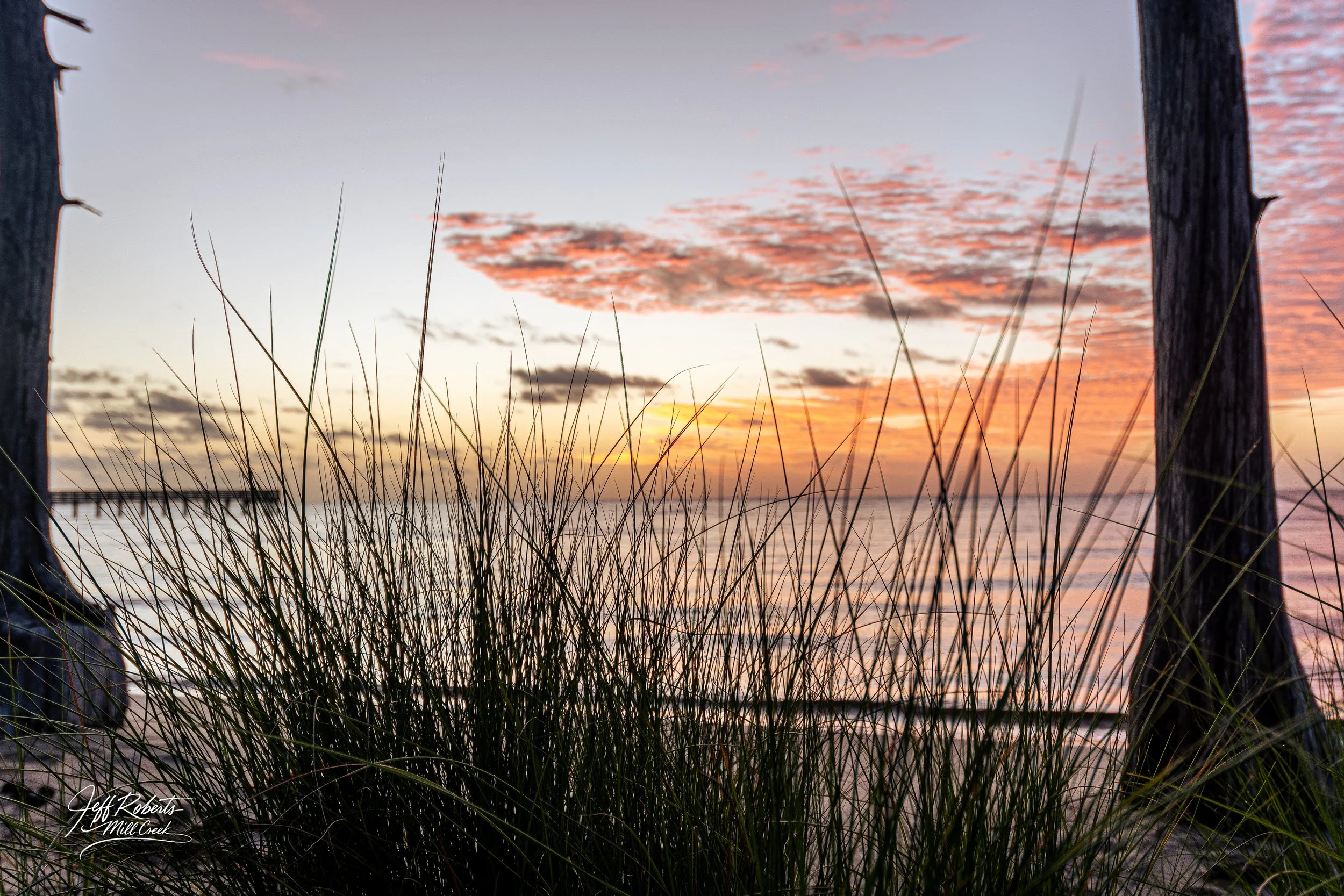Sunset over a beach with tall grass and wooden posts in the foreground.