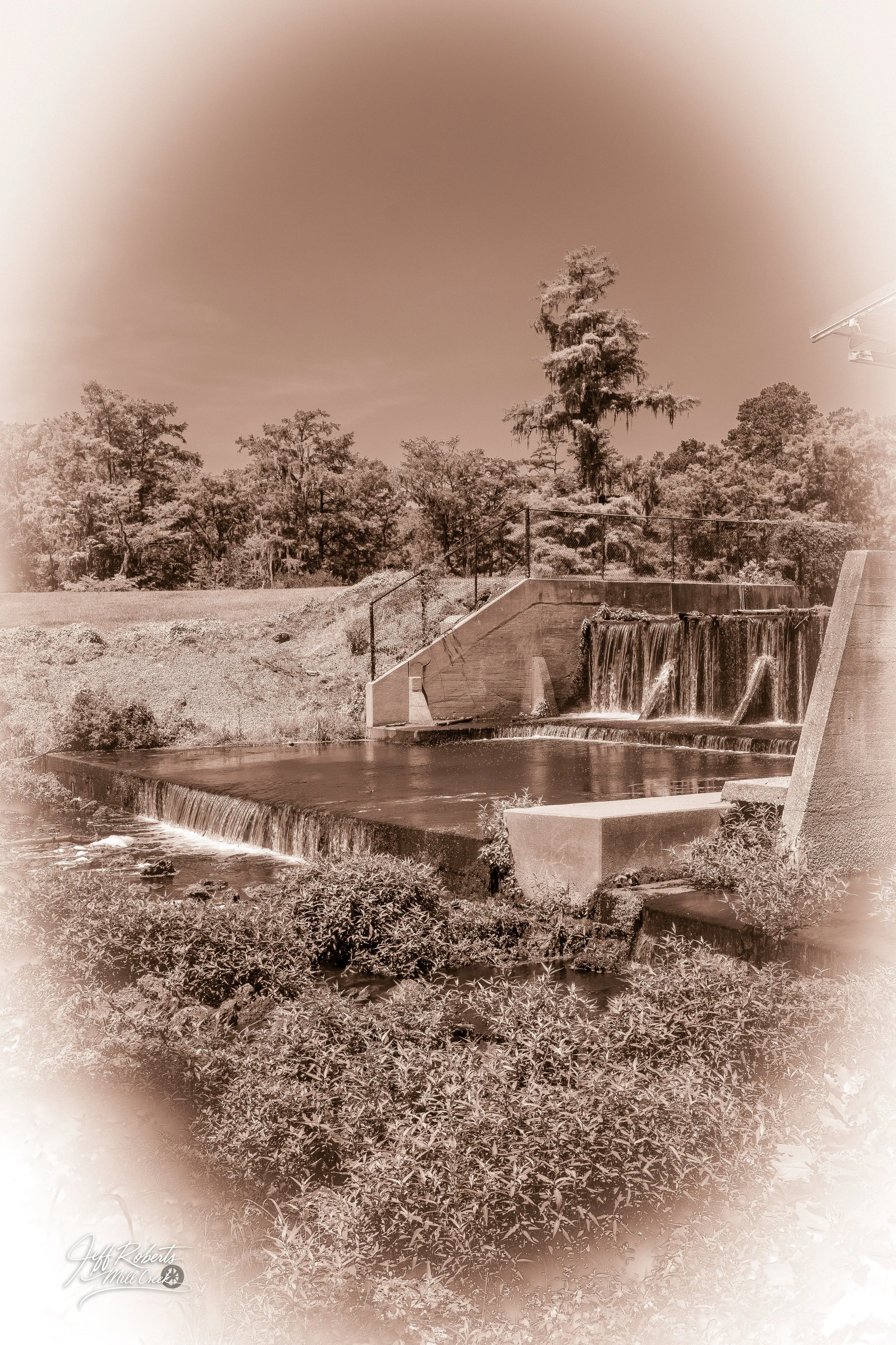 A sepia-toned photo of a landscaped area with a small waterfall and pool, surrounded by trees and bushes, with a clear sky above.