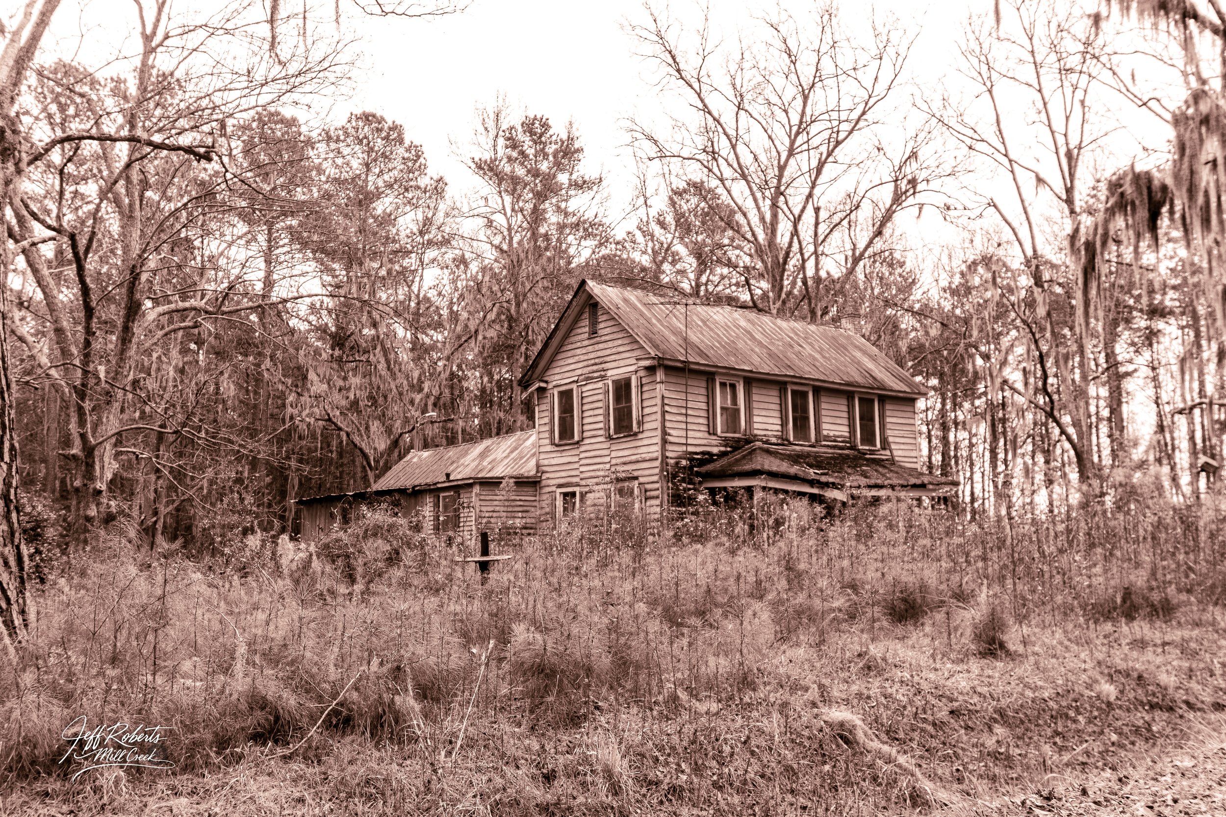 Old, abandoned wooden house surrounded by overgrown vegetation and leafless trees in a rural area.