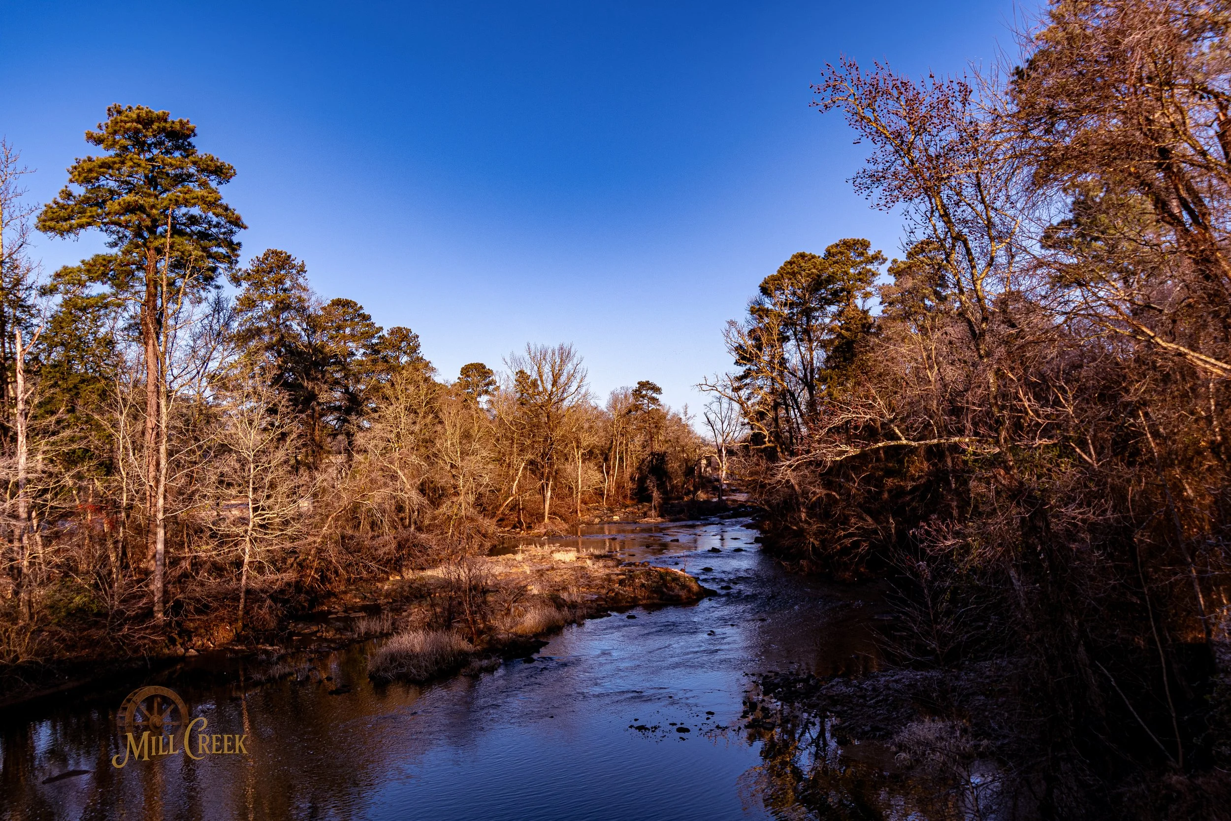 A river flowing through a forest with mostly leafless trees on either side, under a clear blue sky.