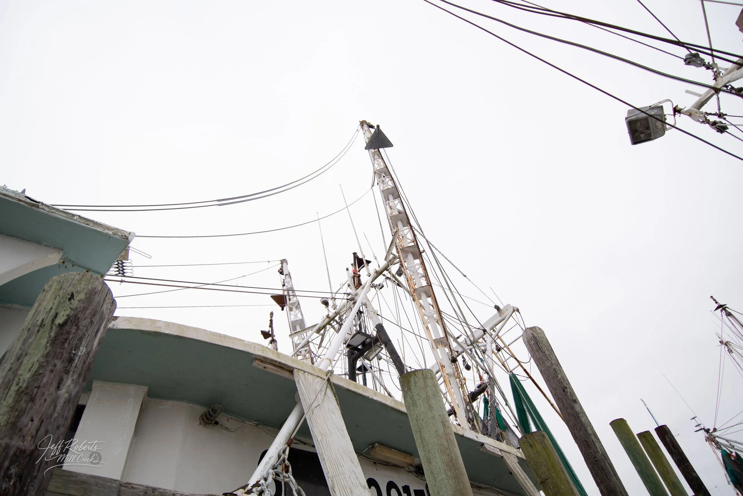 View of fishing boats docked at a marina from a low angle, with weathered wooden pilings in the foreground and overcast sky overhead.